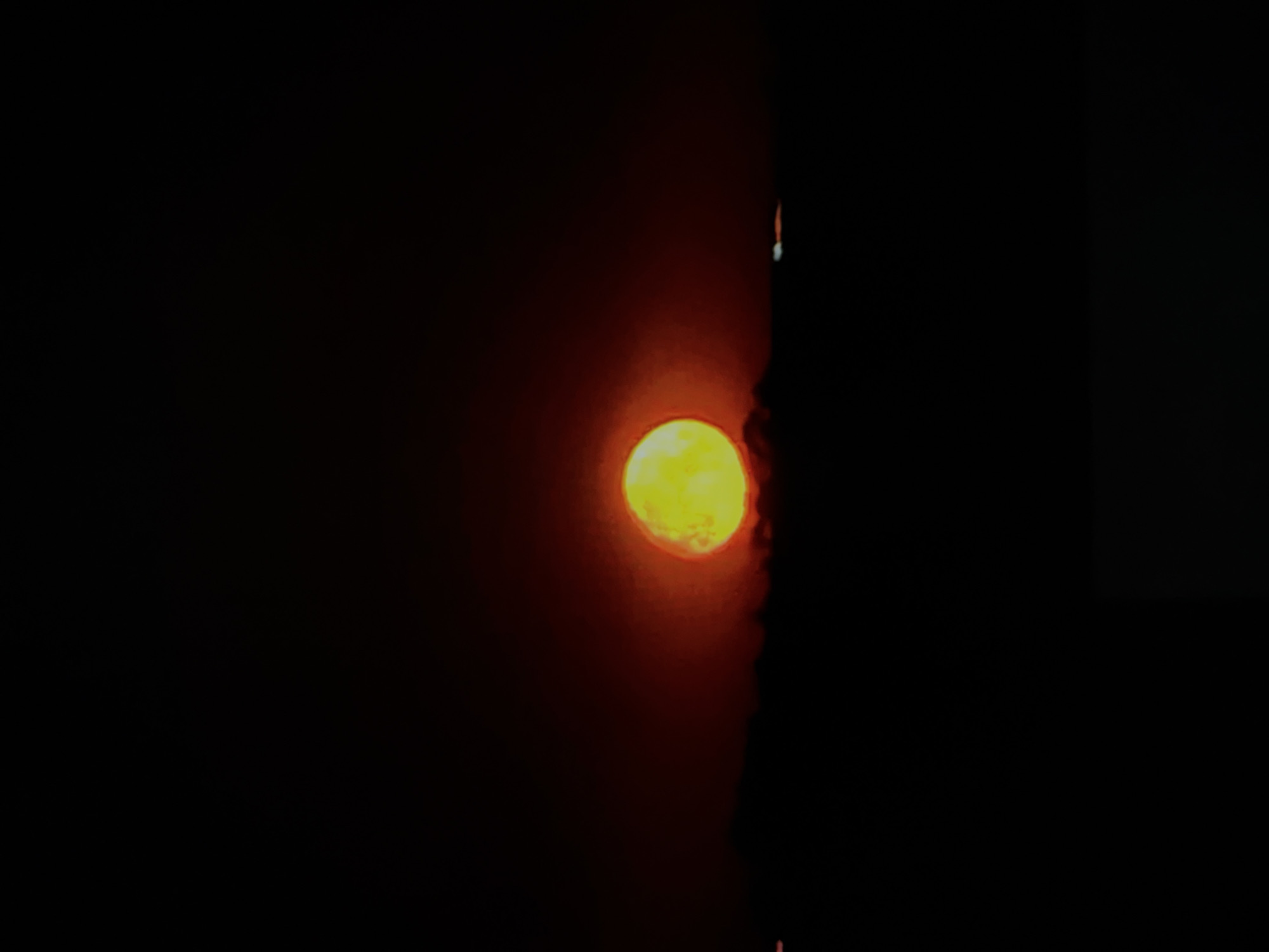 Sunsets, wildlife, and landscapes across a two-hour evening window