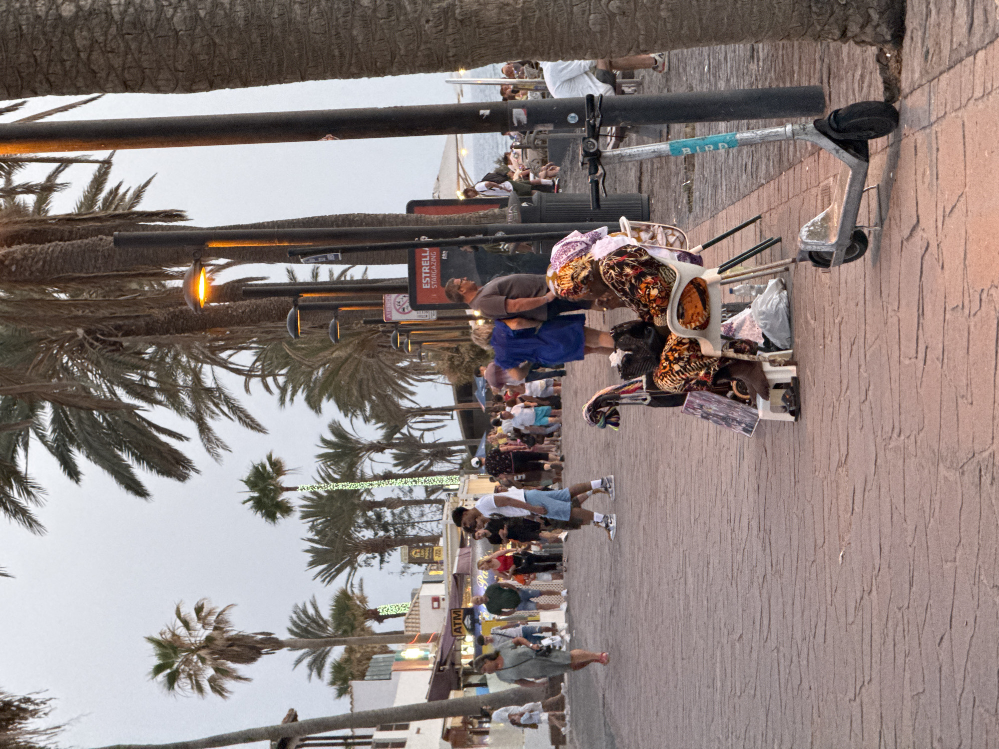 Palm-lined promenade in Arona with shops and foot traffic
