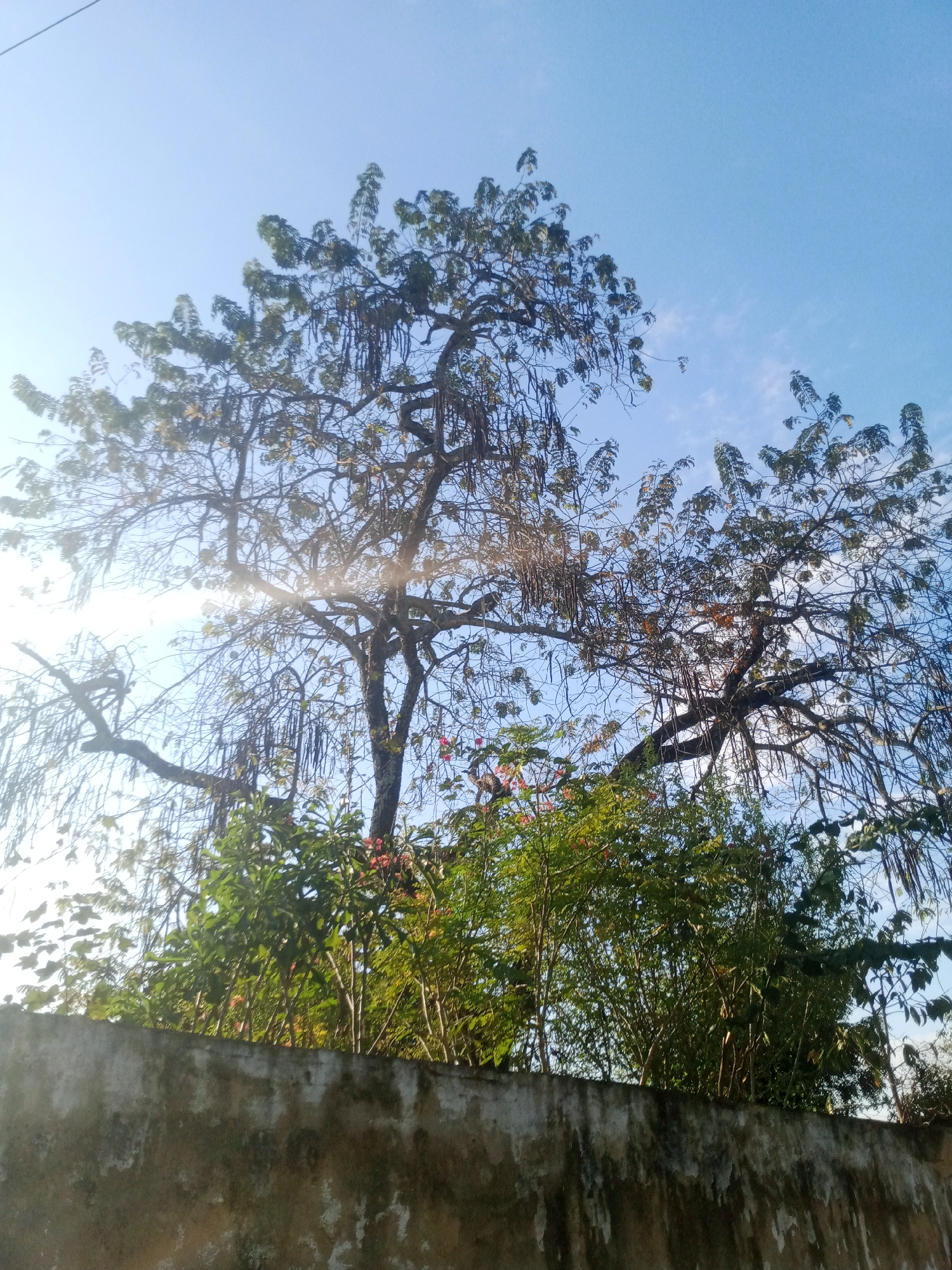Street scenes documented in Caño de Indio, Venezuela