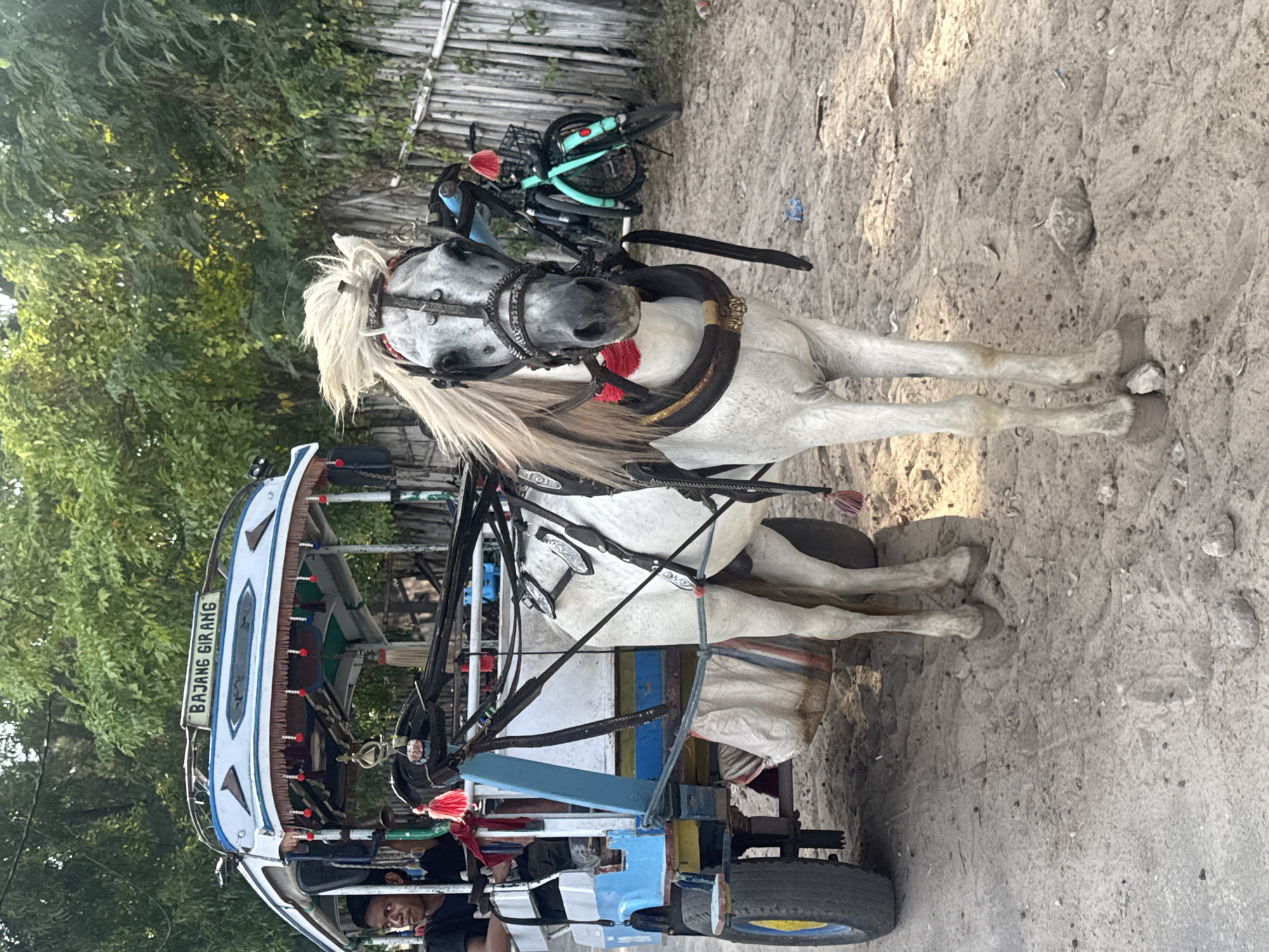 Traditional horse cart observed on Indonesian coast