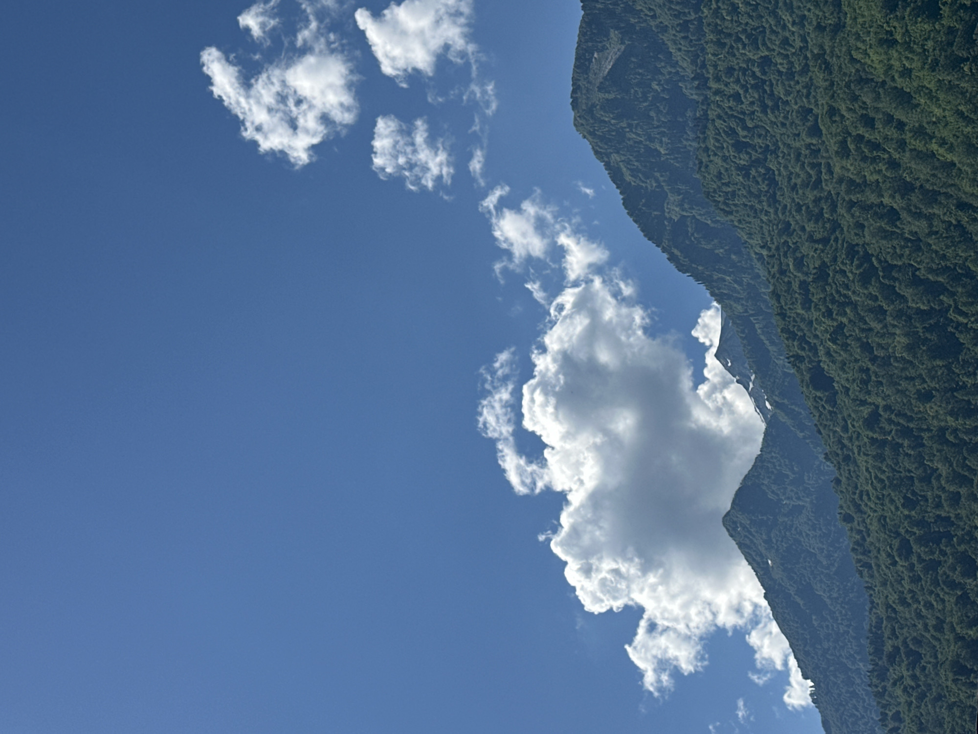 Forested mountain slope meets blue sky in Krasnaya Polyana