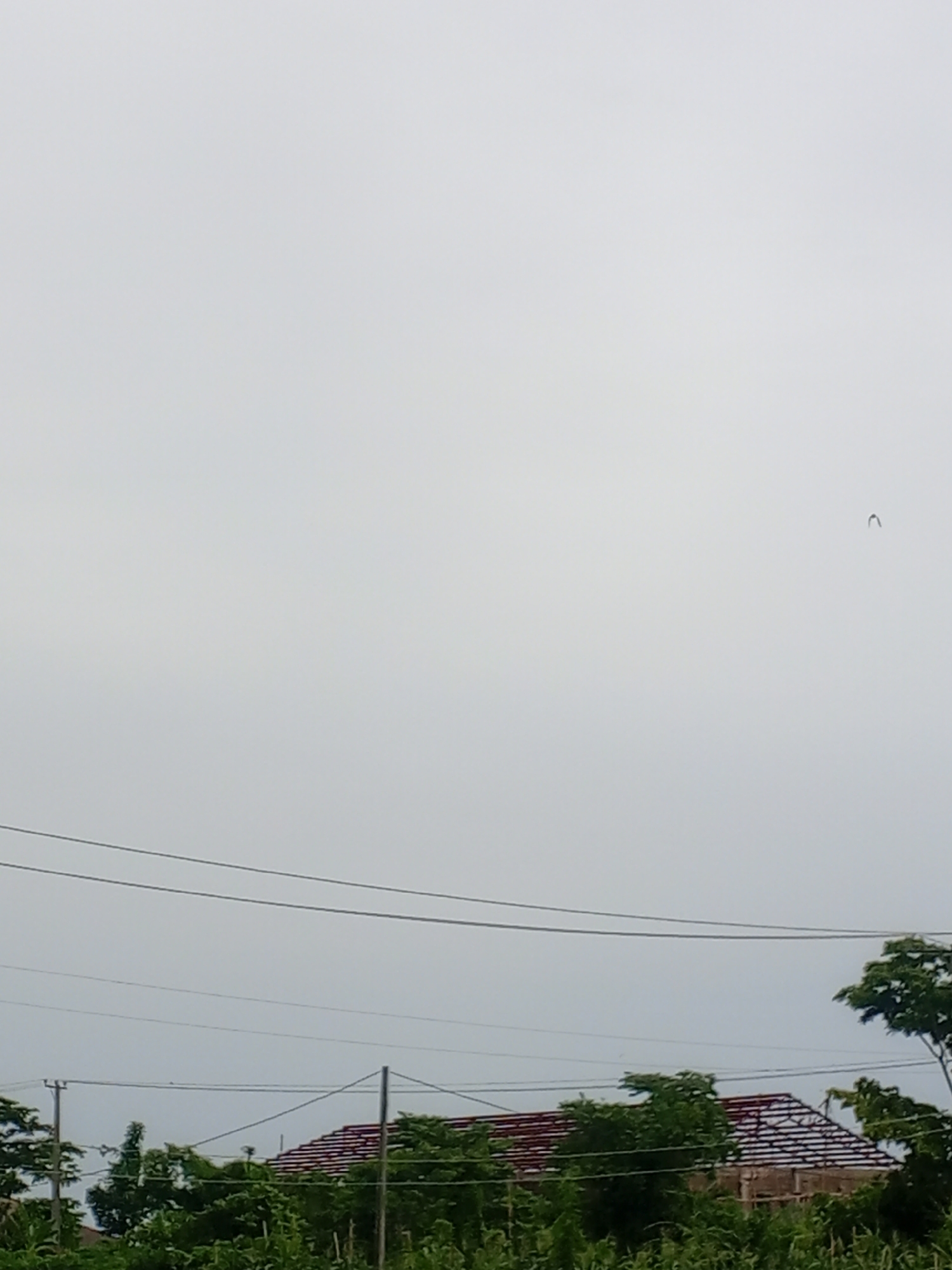 Cloudy afternoon over a leafy residential area in Ife, Nigeria