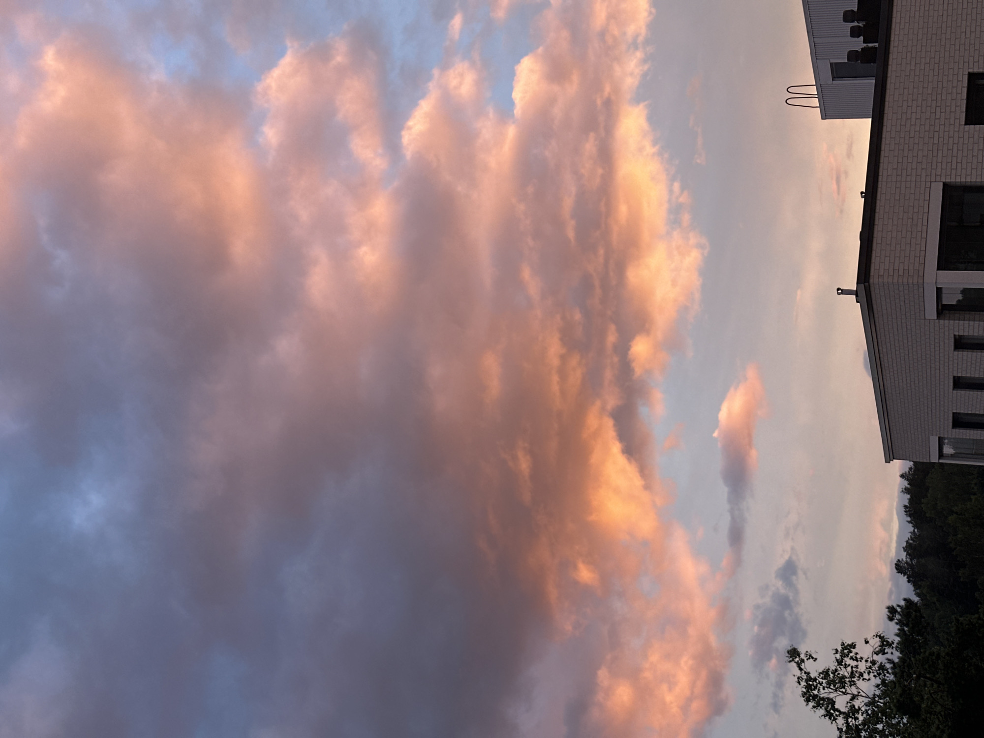Sunset stroll through a Finnish suburb, scooters and flowering paths