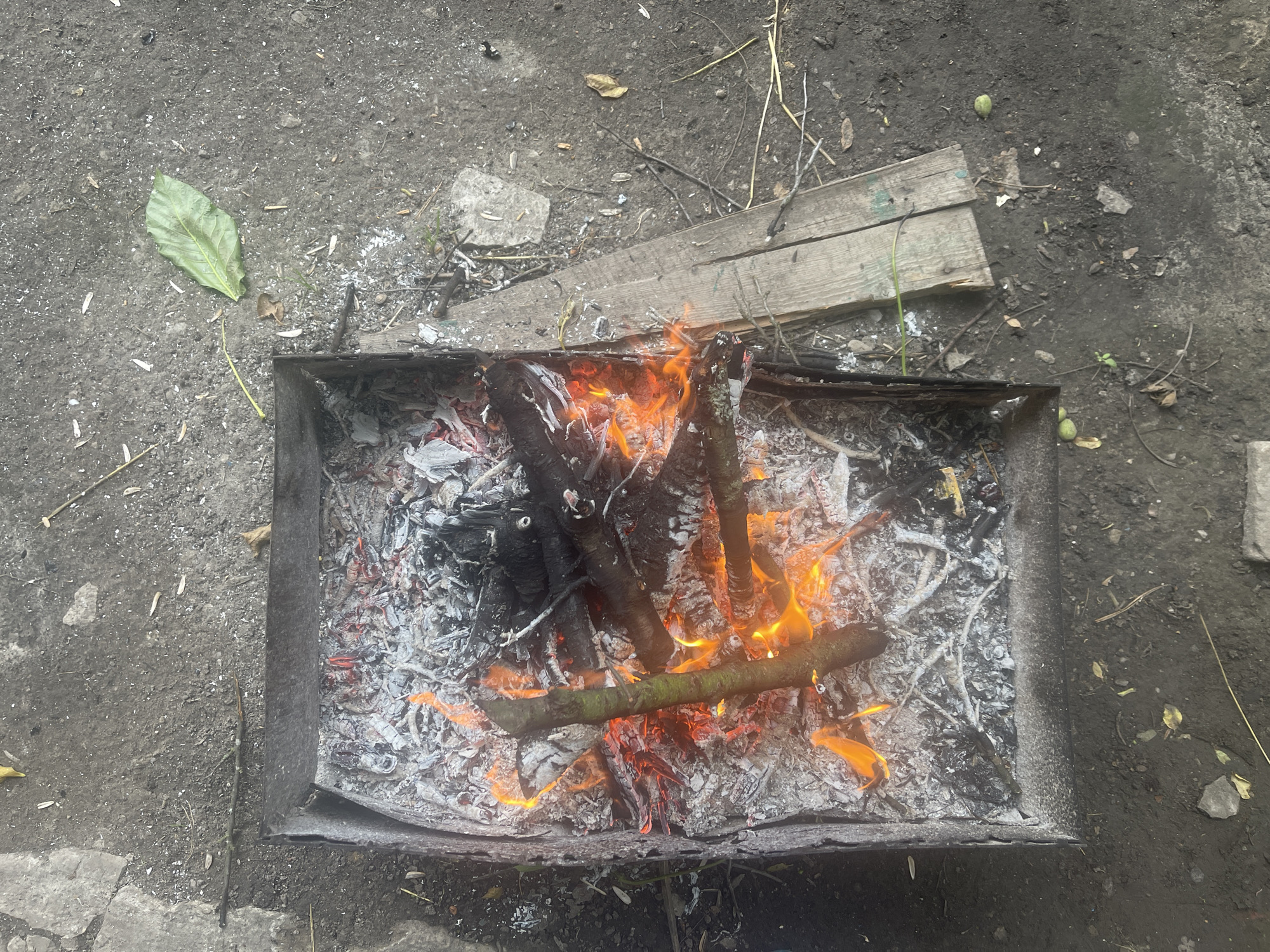 Outdoor barbecue preparation documented in rural Ukrainian village