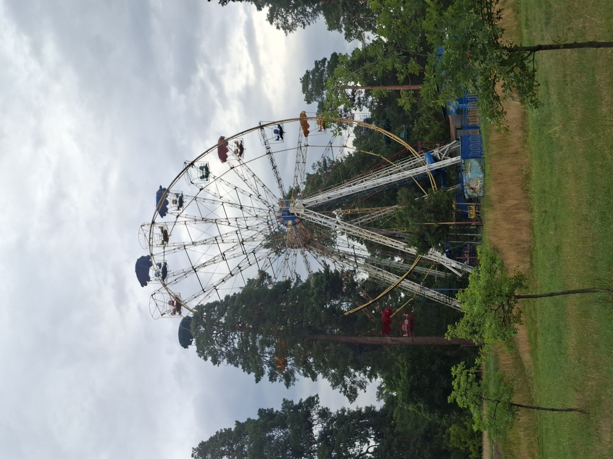 Kyiv park with old Ferris wheel, pine trees, and castle-themed restaurant