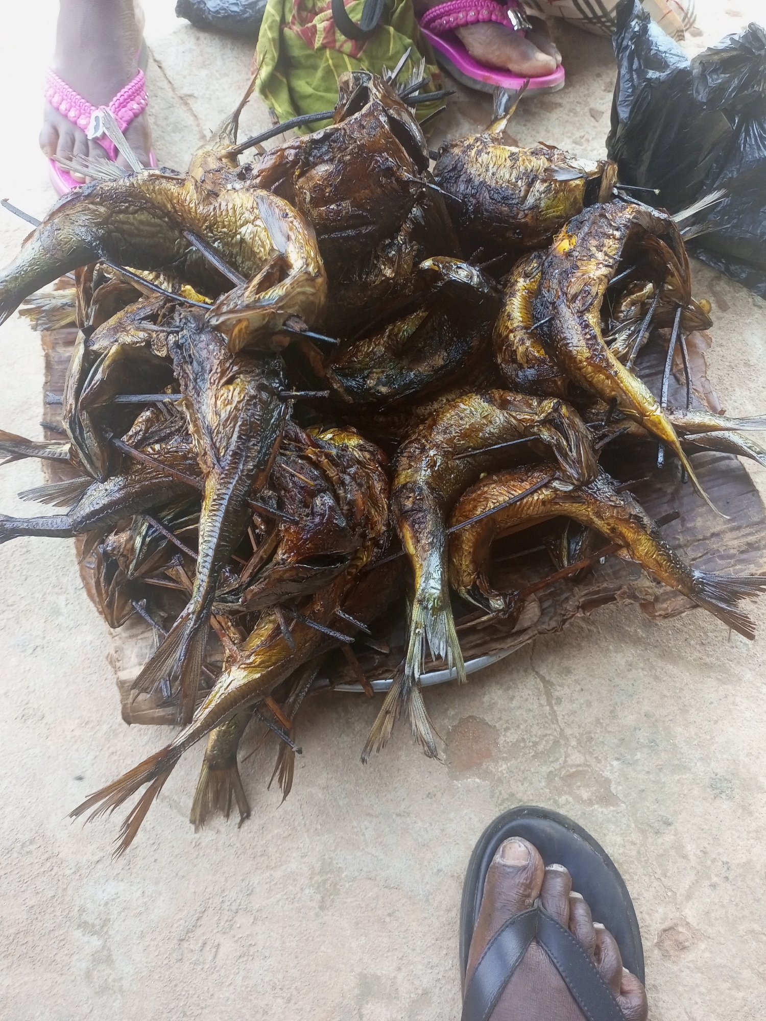 Smoked fish displayed for sale at Onitsha market