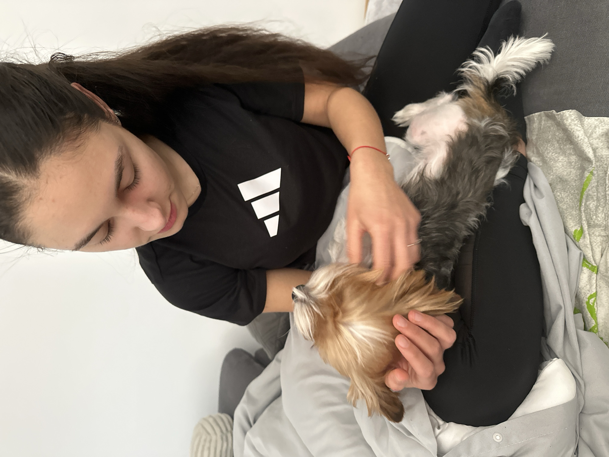 Woman pets small dog on couch in Gunzenhausen