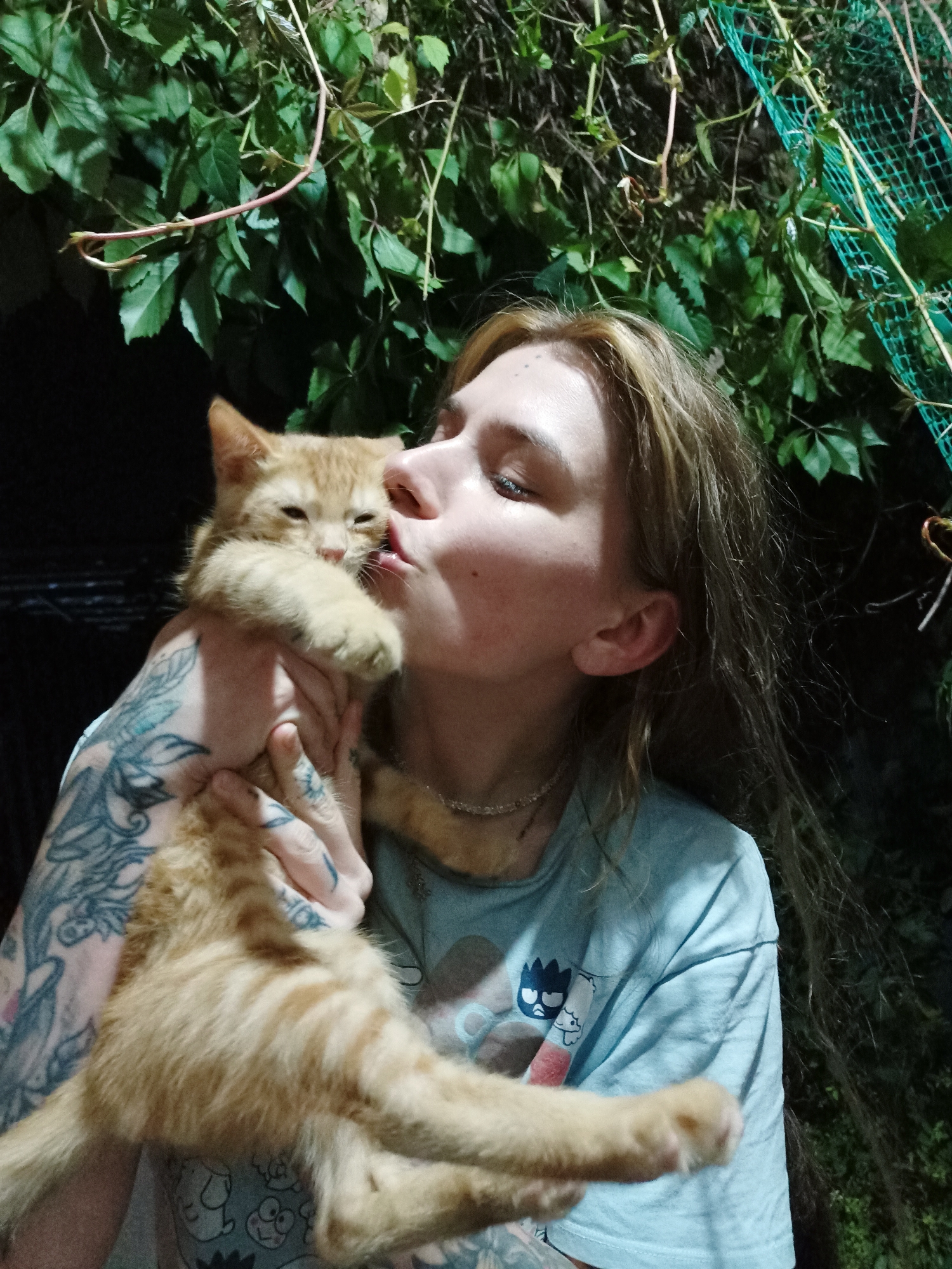 Cats, flowers, and a book on a summer night in Almaty