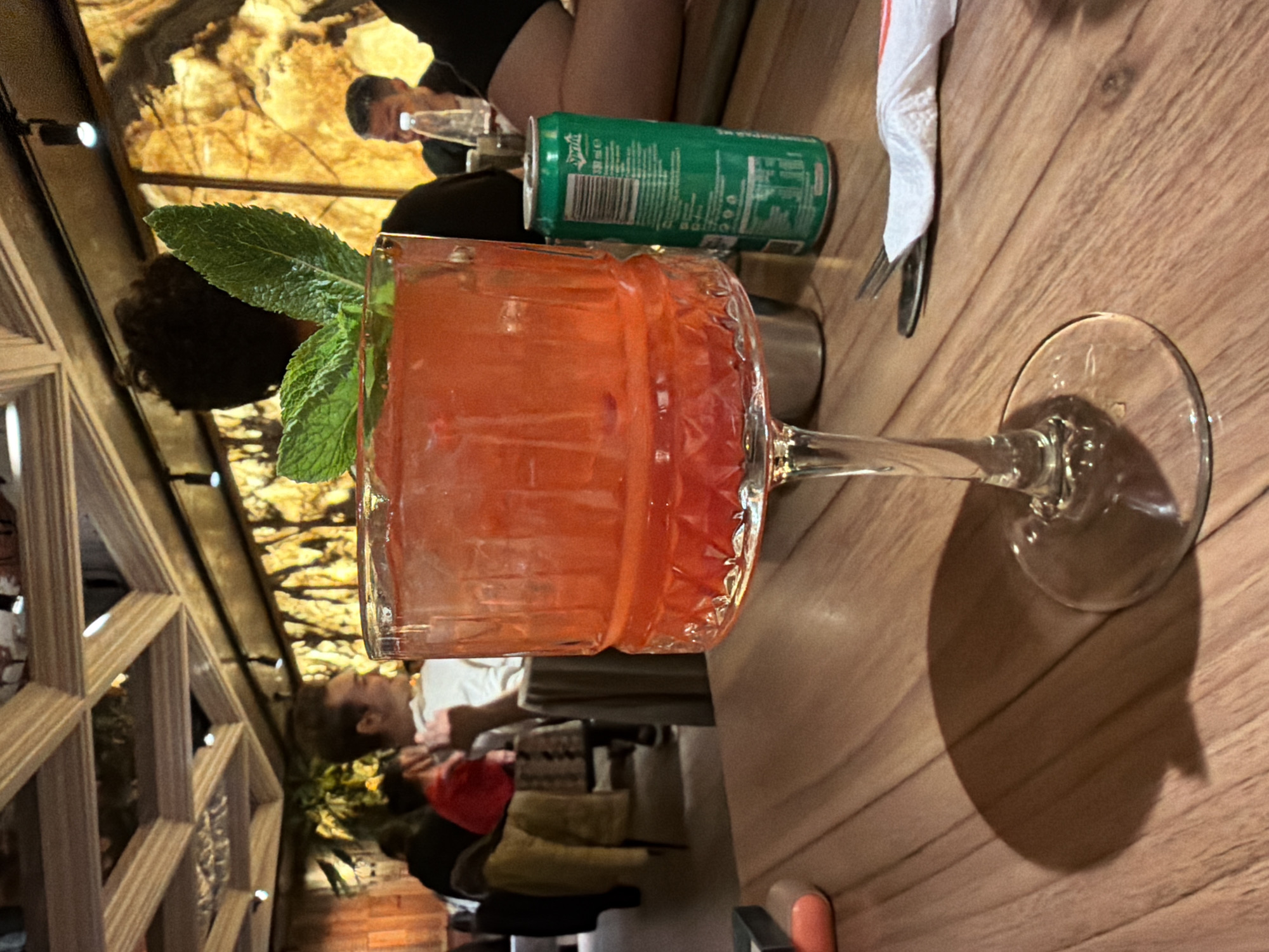 Evening dining and drinks documented in Sofia, Bulgaria