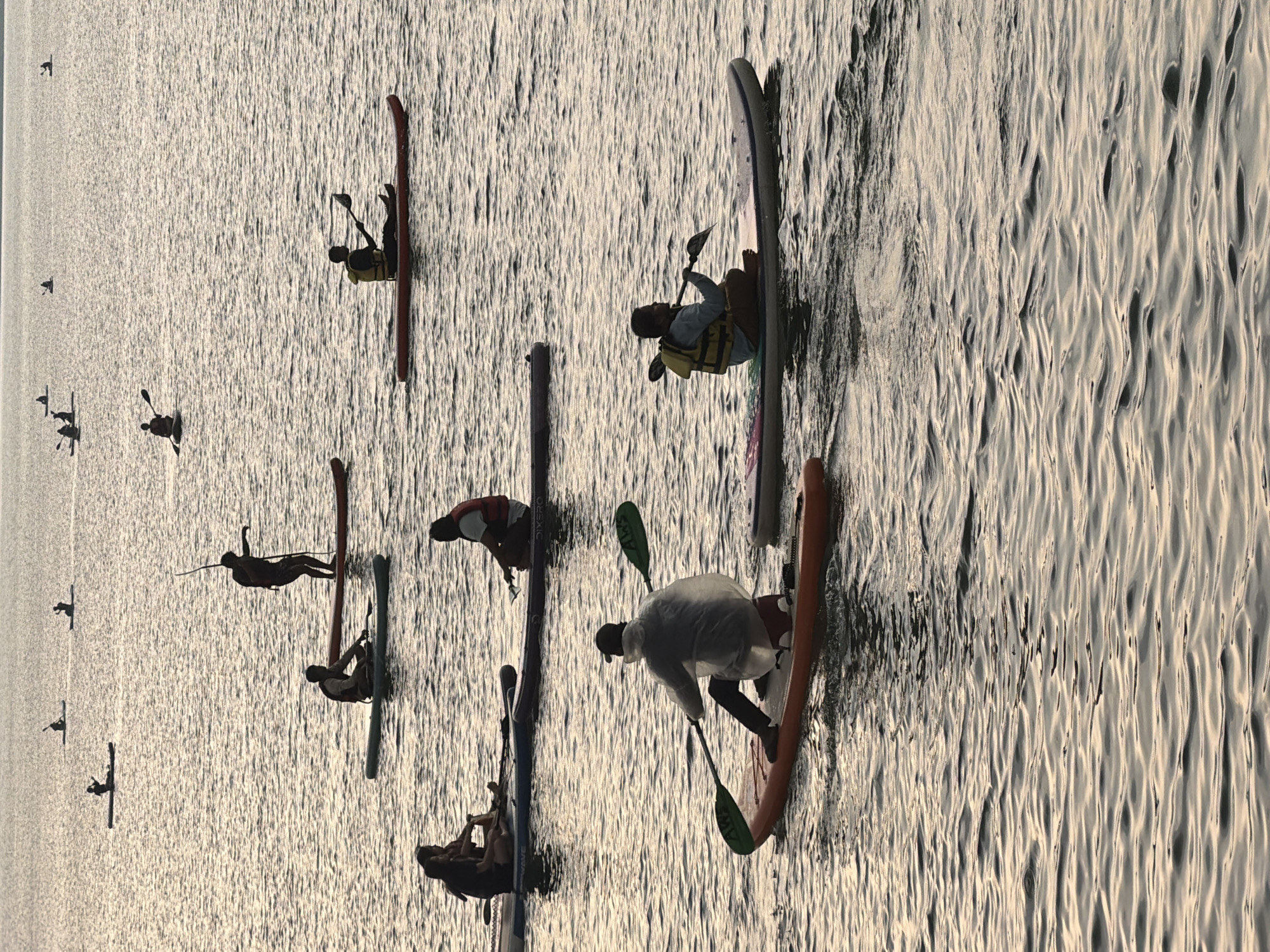Stand-up paddleboarding group active on Phewa Lake, Pokhara