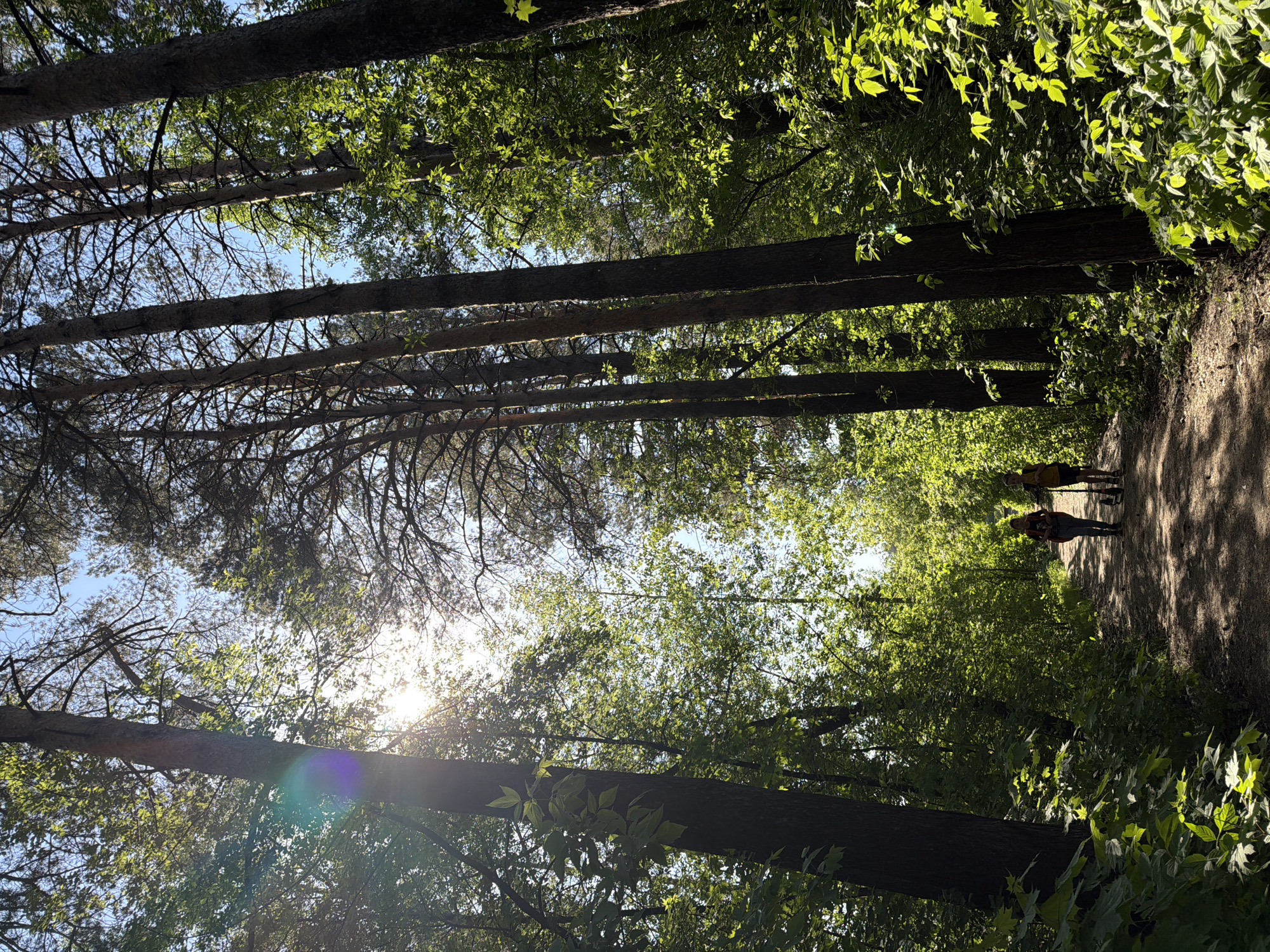 Six-minute walk through Chaikovsky captures forests, railways, streets