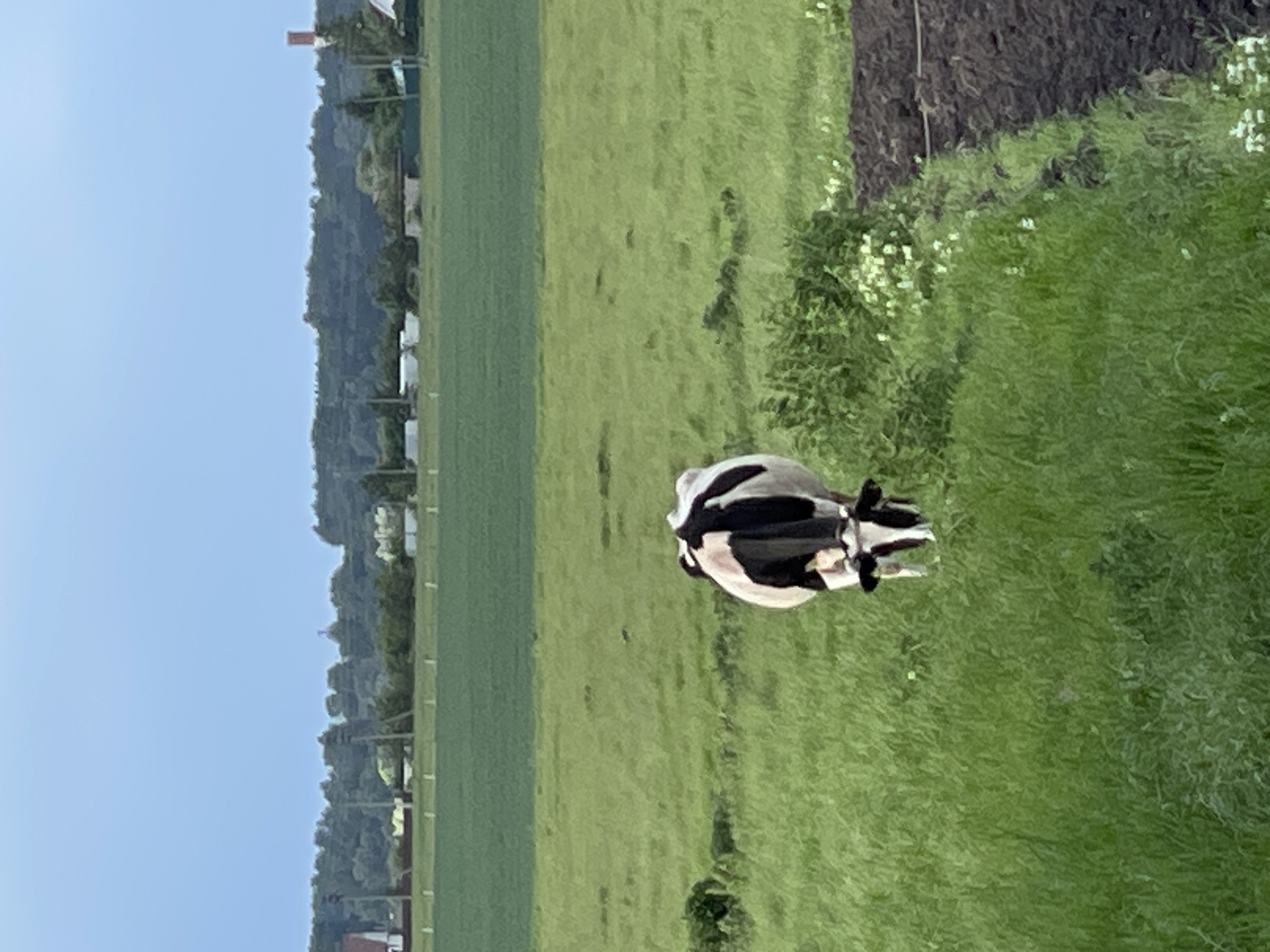 Rural farm life documented in Шеметово, Russia over 20 minutes
