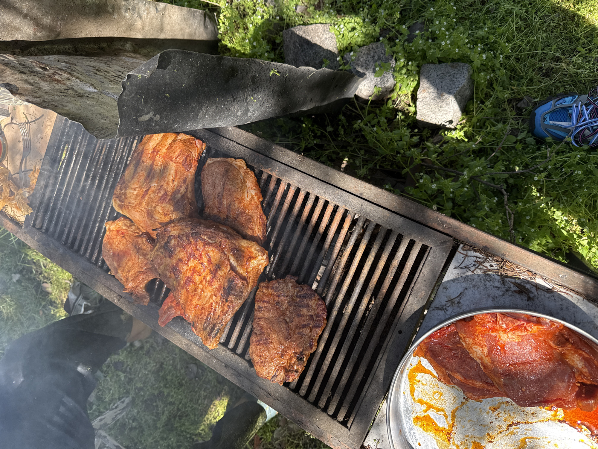 Outdoor barbecue gathering documented with grill and picnic setup