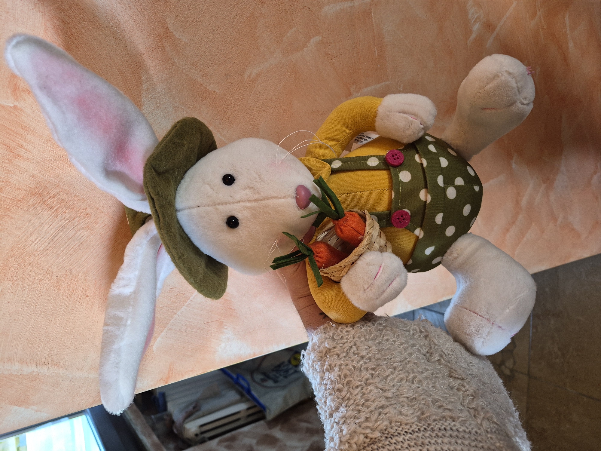 Meal preparation with toy bunny observed in Piennes