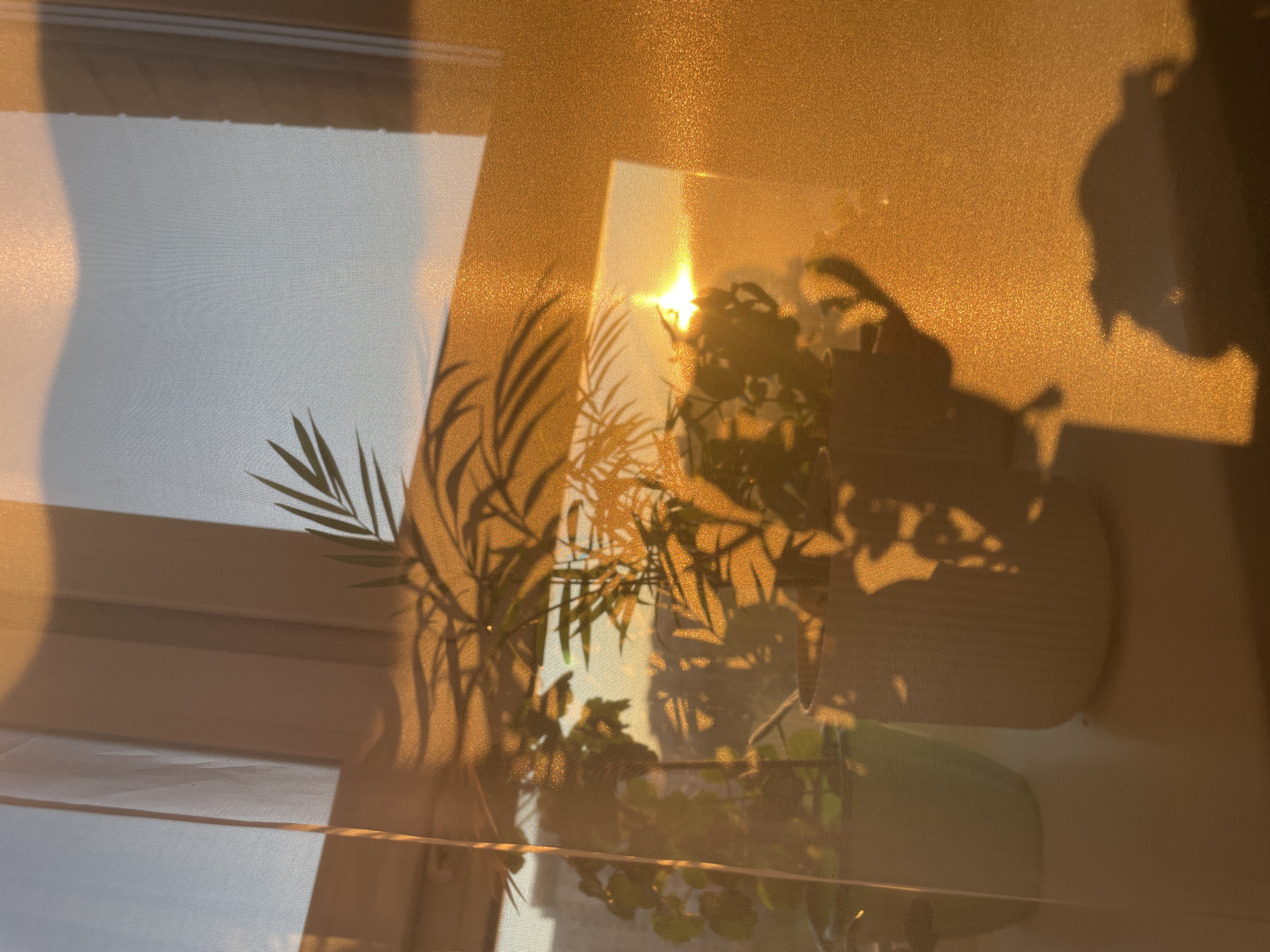 Woman captures golden hour selfies during Izhevsk sunset