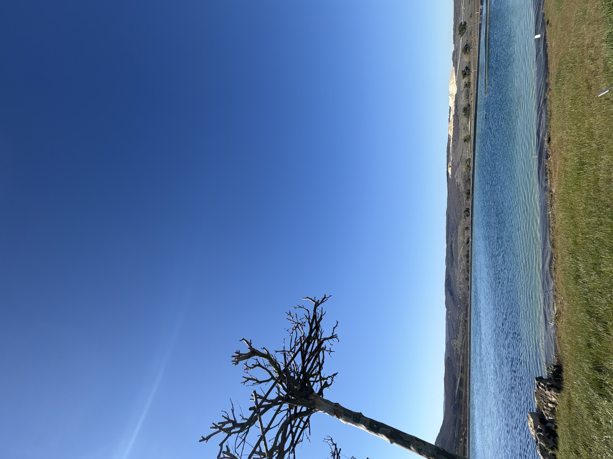 Bare trees under clear skies in Ukrainian village