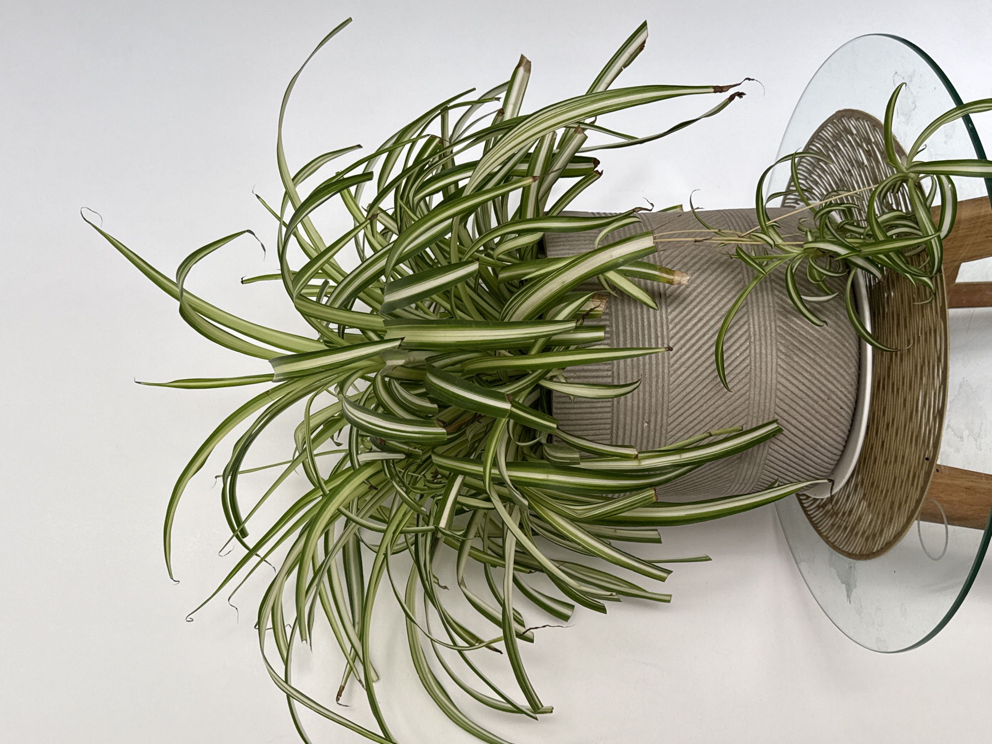 Iquique, Chile
