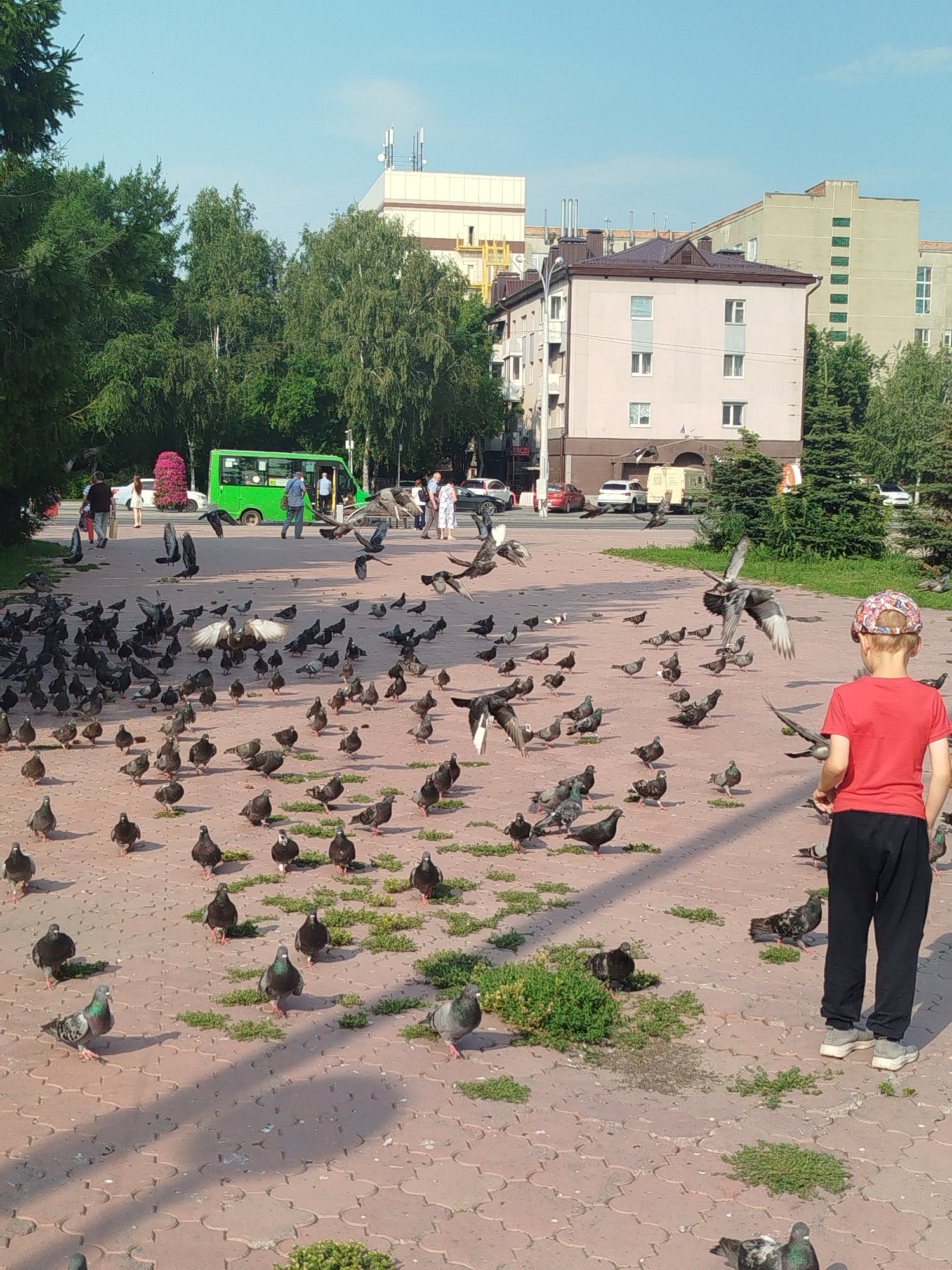 Pigeons take over a Tyumen plaza during a midday feeding session