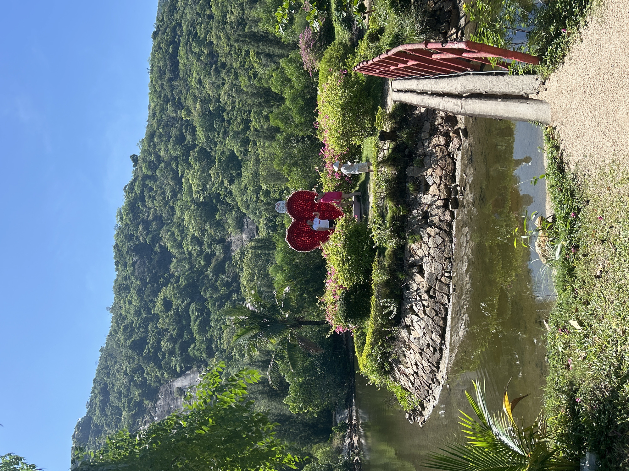 Elephants, wading birds, and park scenery in Hoa Thang