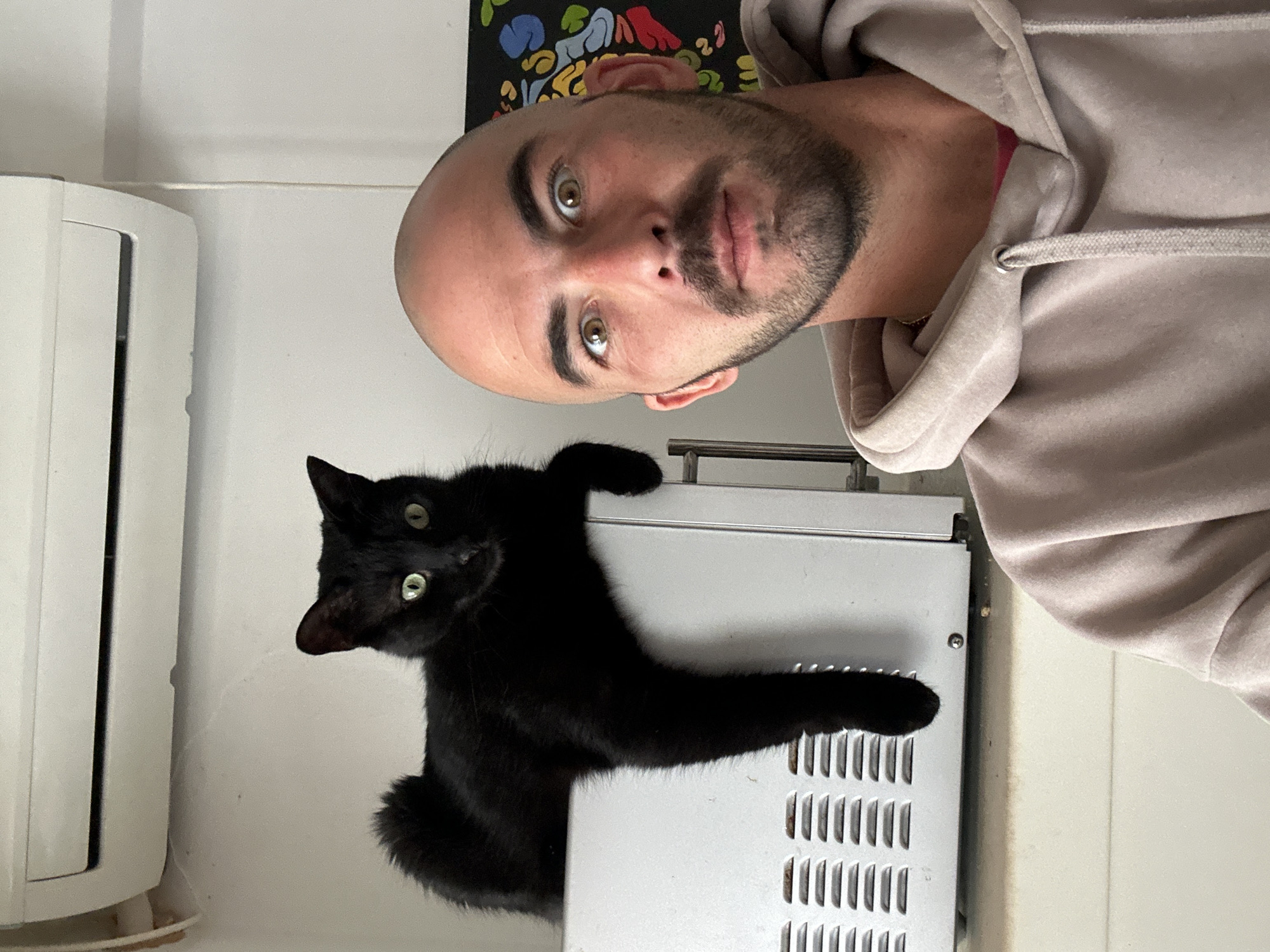 Man photographs himself with two cats in Budva apartment