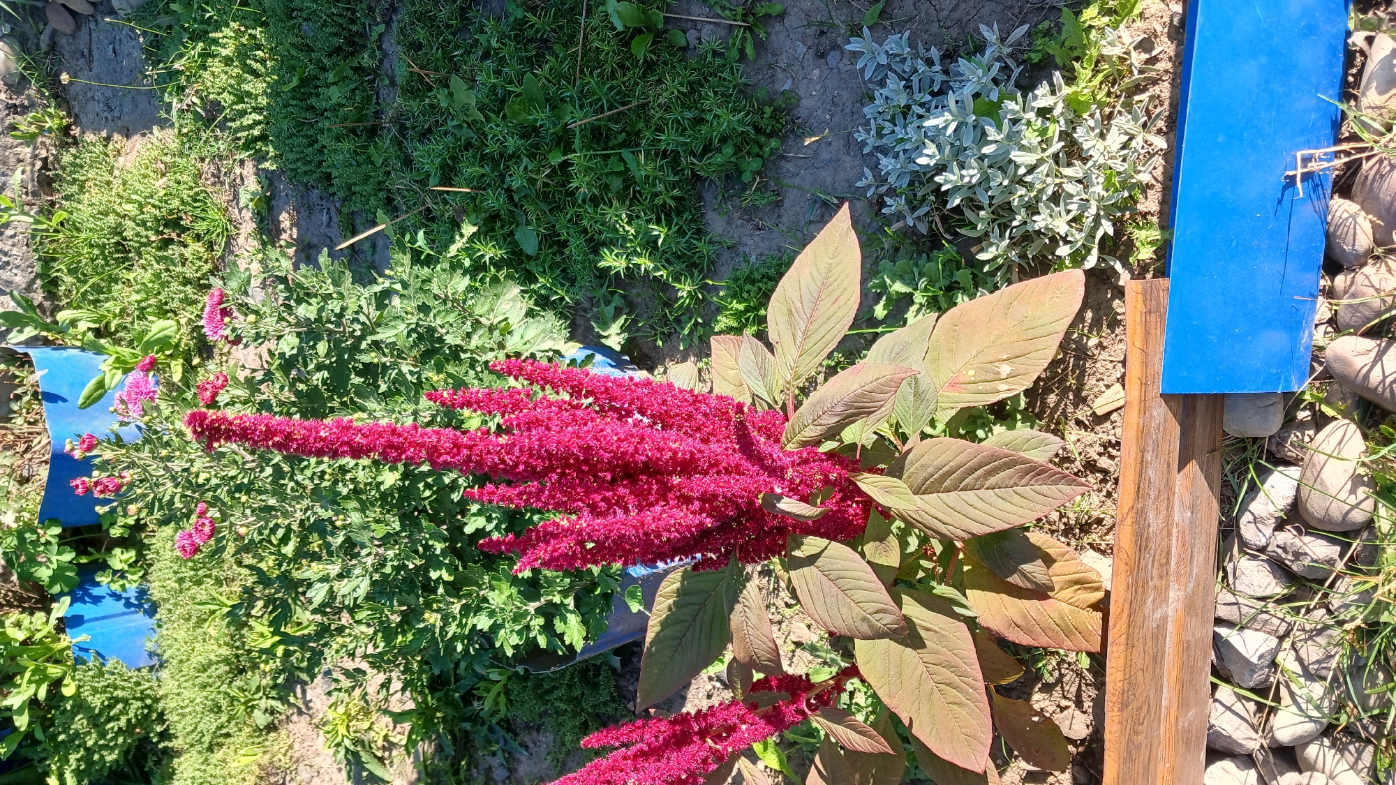 Monastyryska, Ukraine