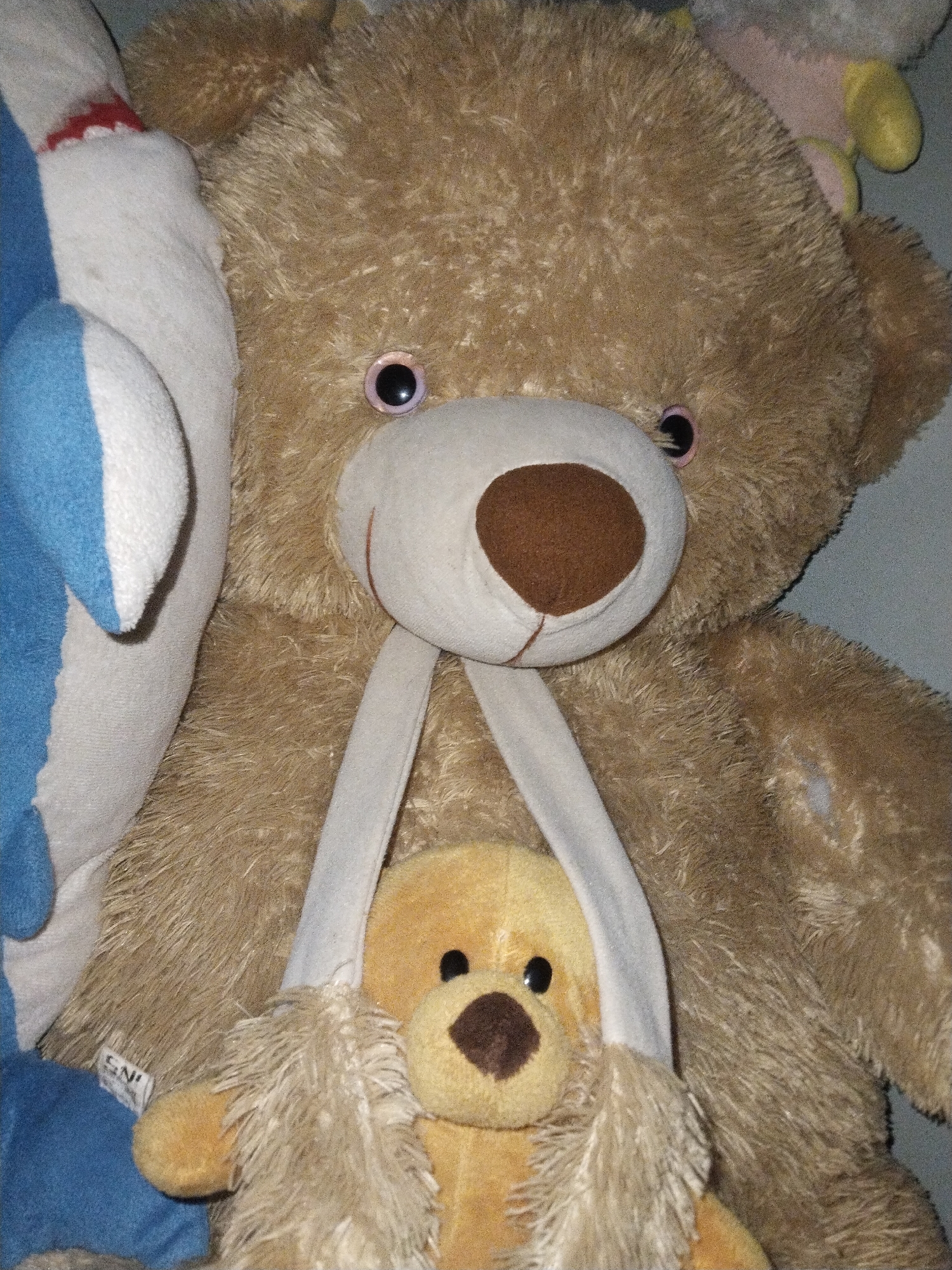 Stuffed animals displayed in Indonesian toy collection
