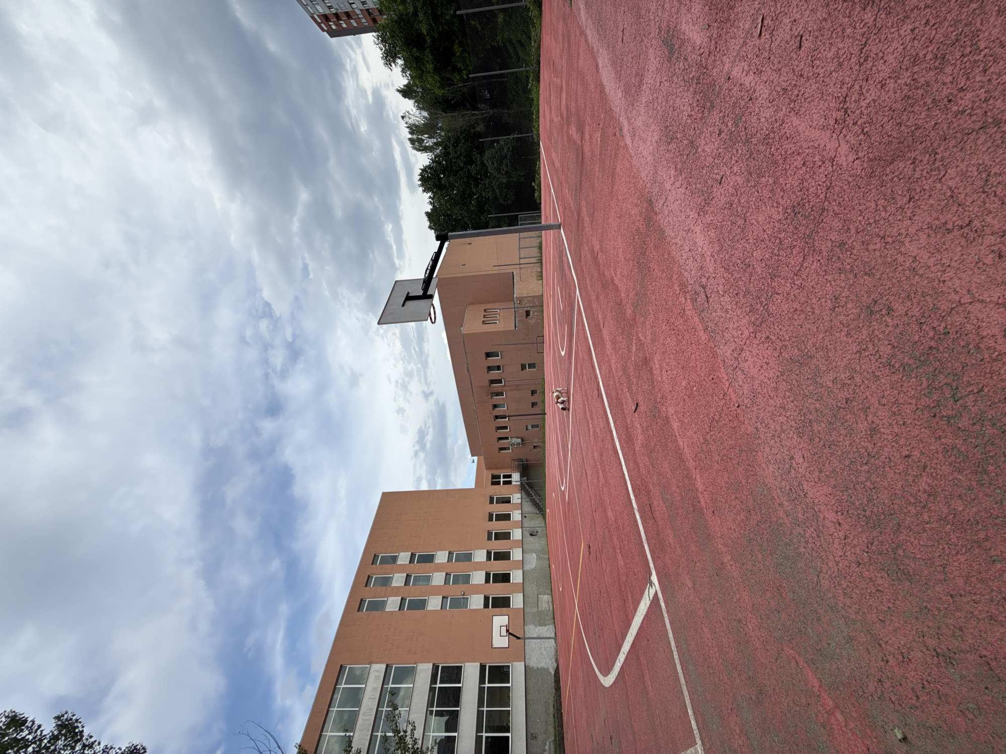 Dog walk documented through Gabrovo streets and basketball court