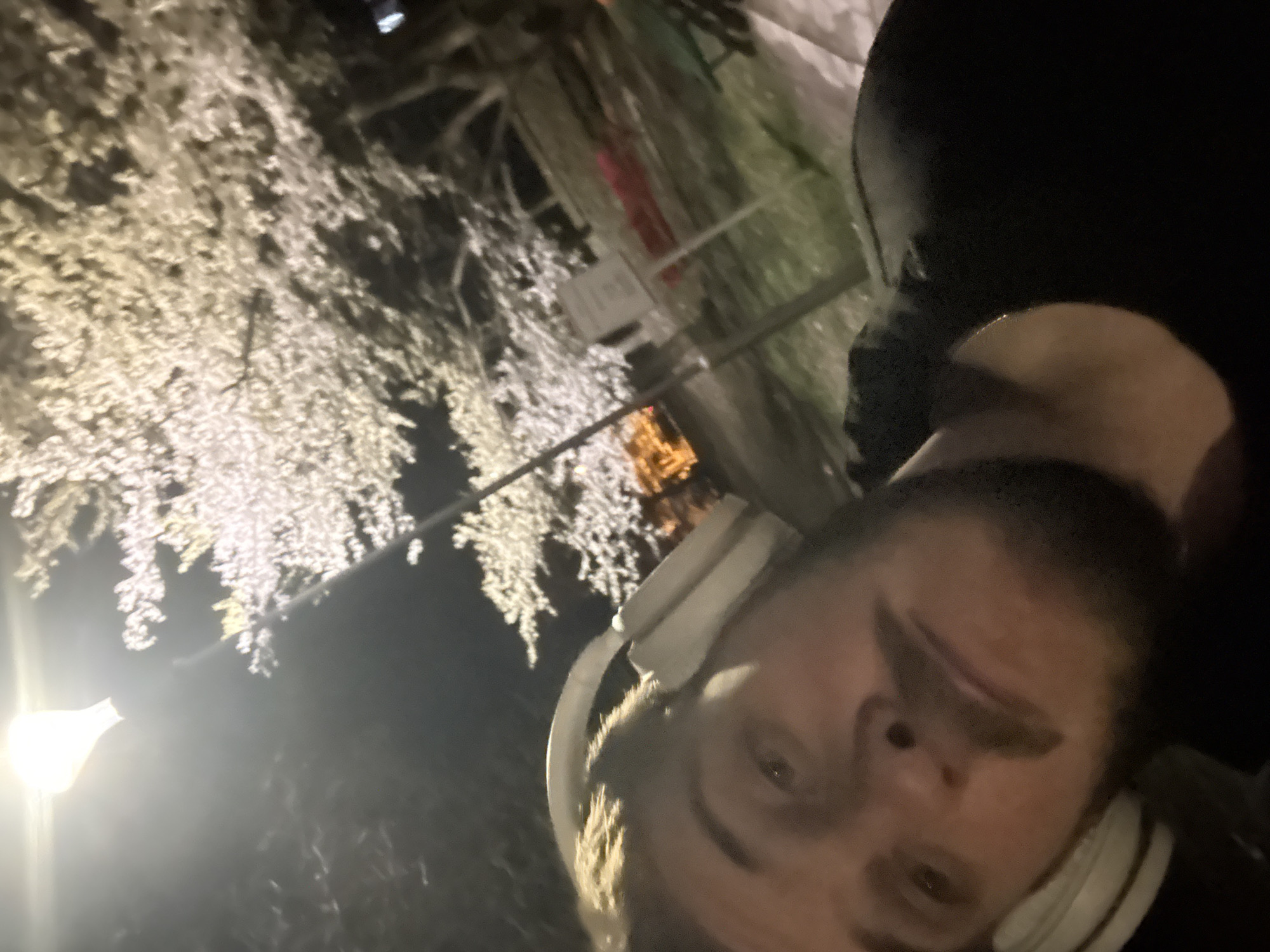 Man photographed under lit trees in Sofia park