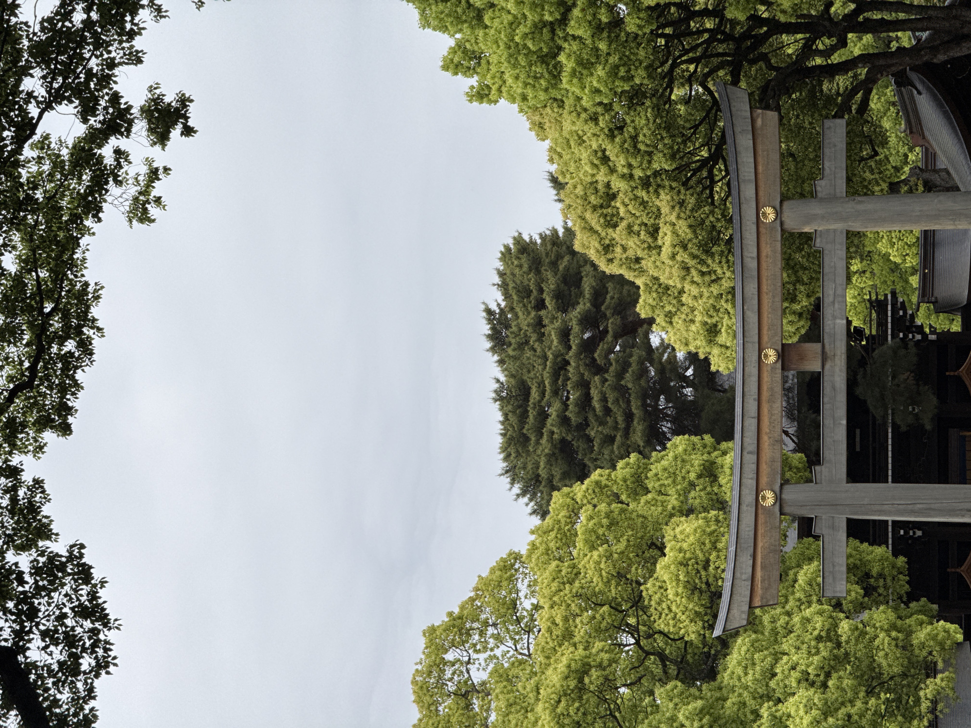 Morning visit to Shibuya shrine captured in multiple perspectives