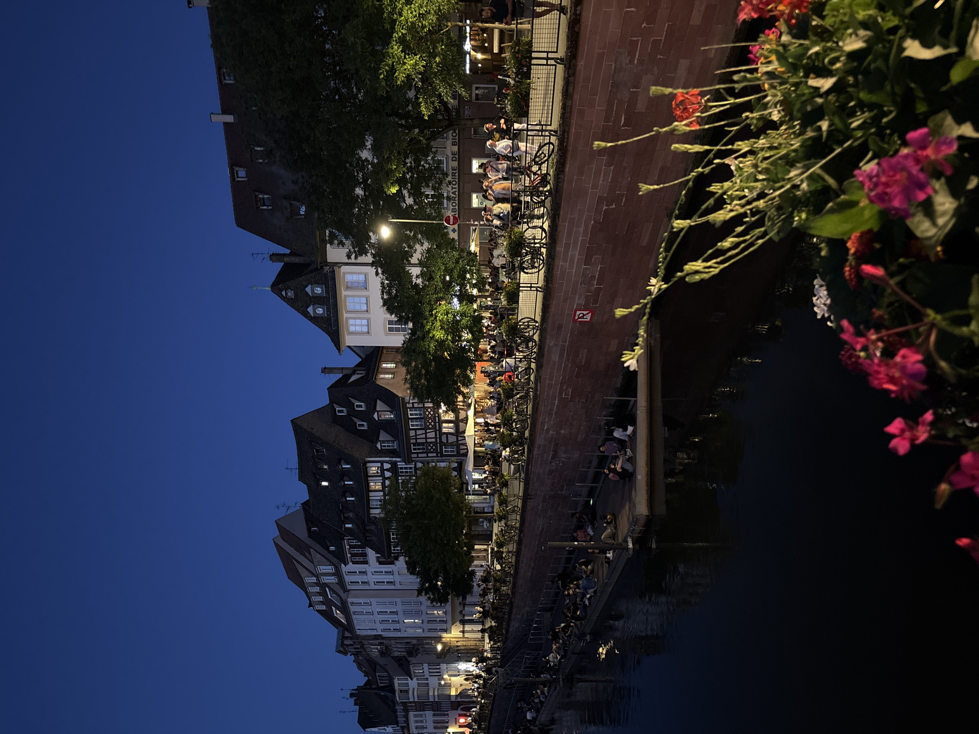 Evening gathering along illuminated Strasbourg canal waterfront