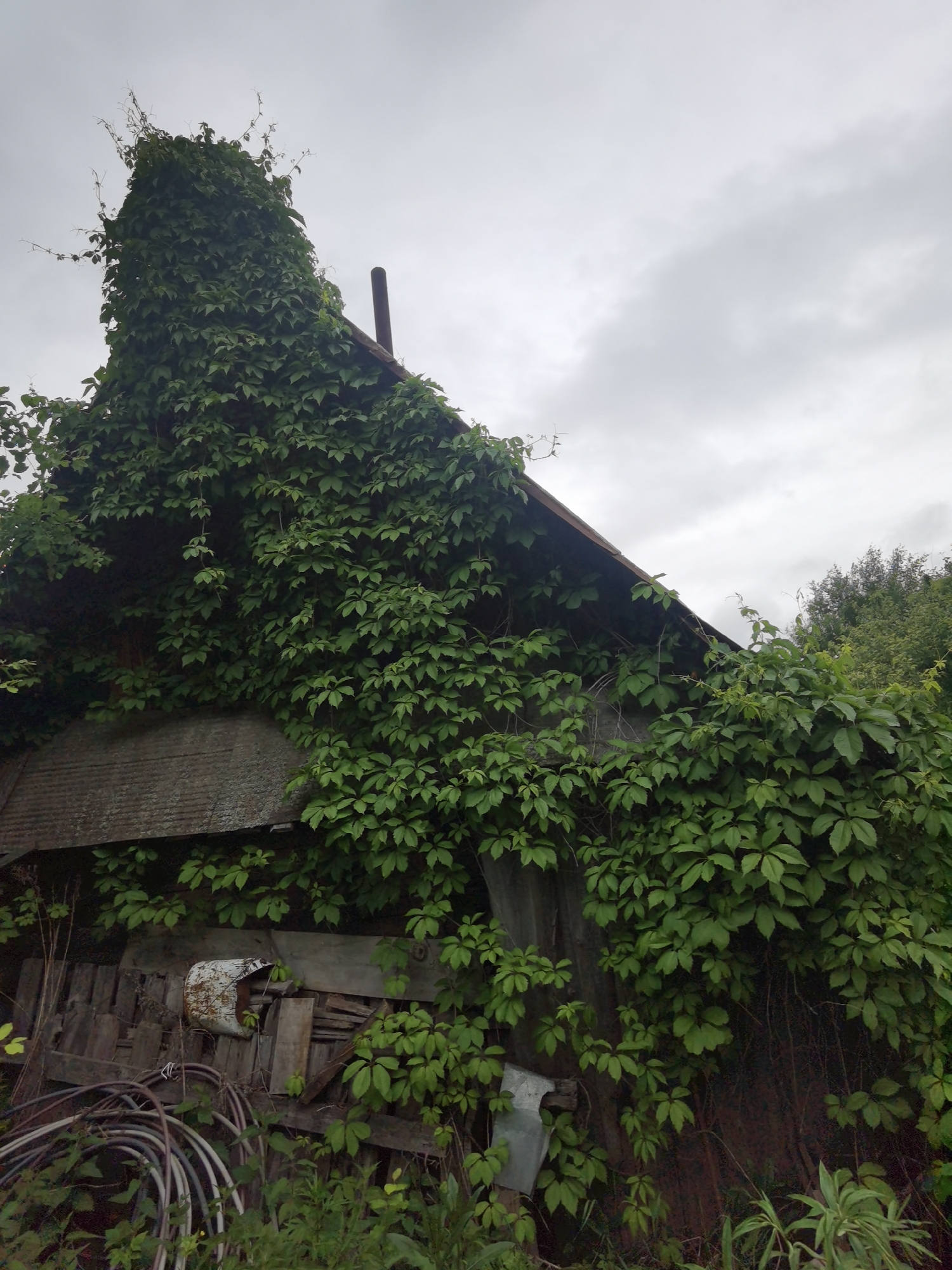 Rural decay documented in Прикамский, Russia under overcast skies