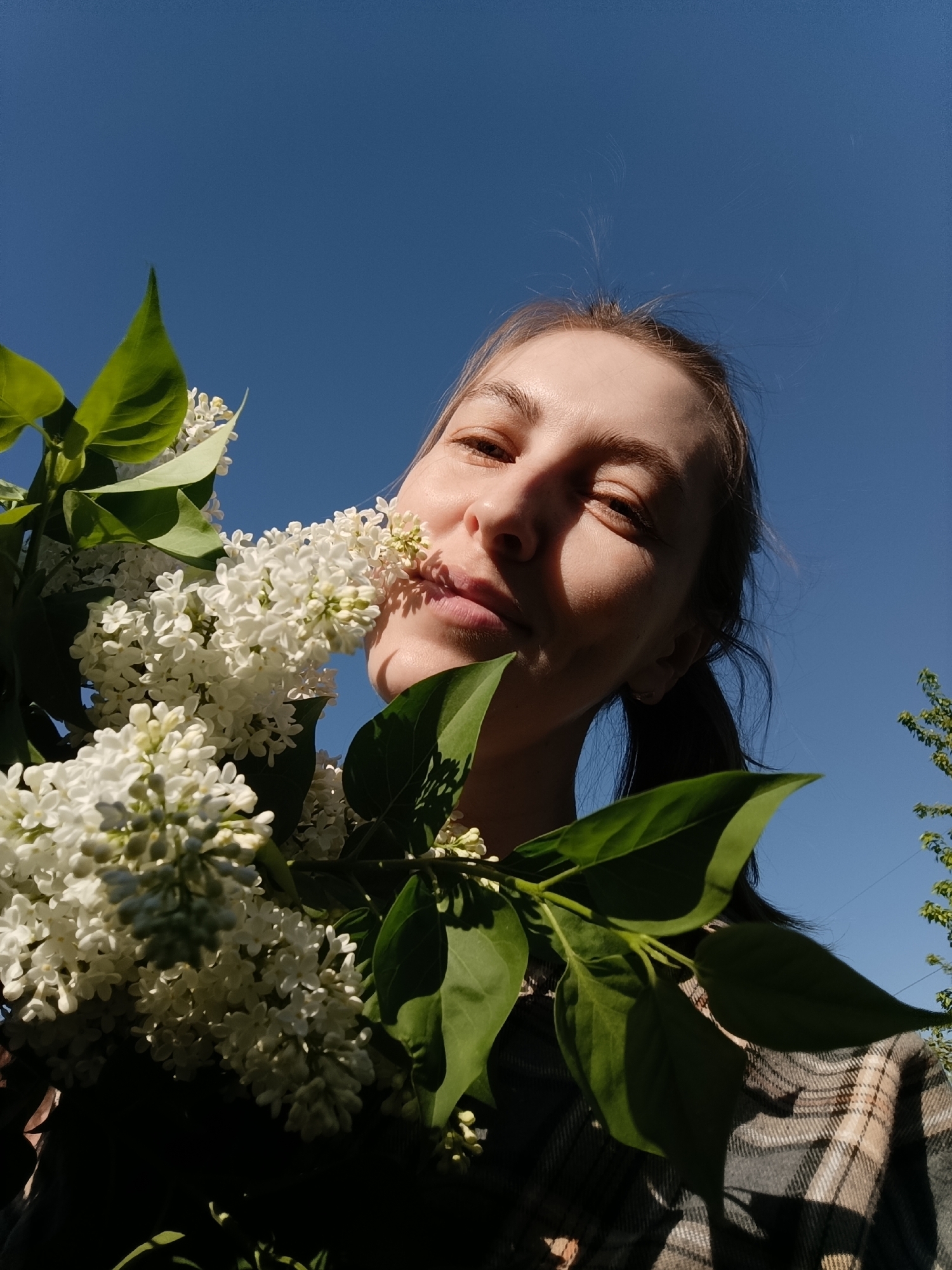Woman with lilacs, footsteps through flowers captured in Chaikovsky