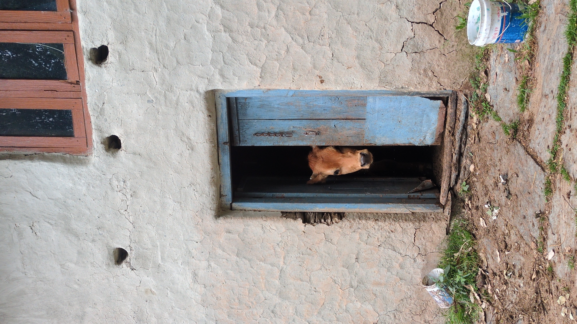 Rural structure with weathered exterior wall documented