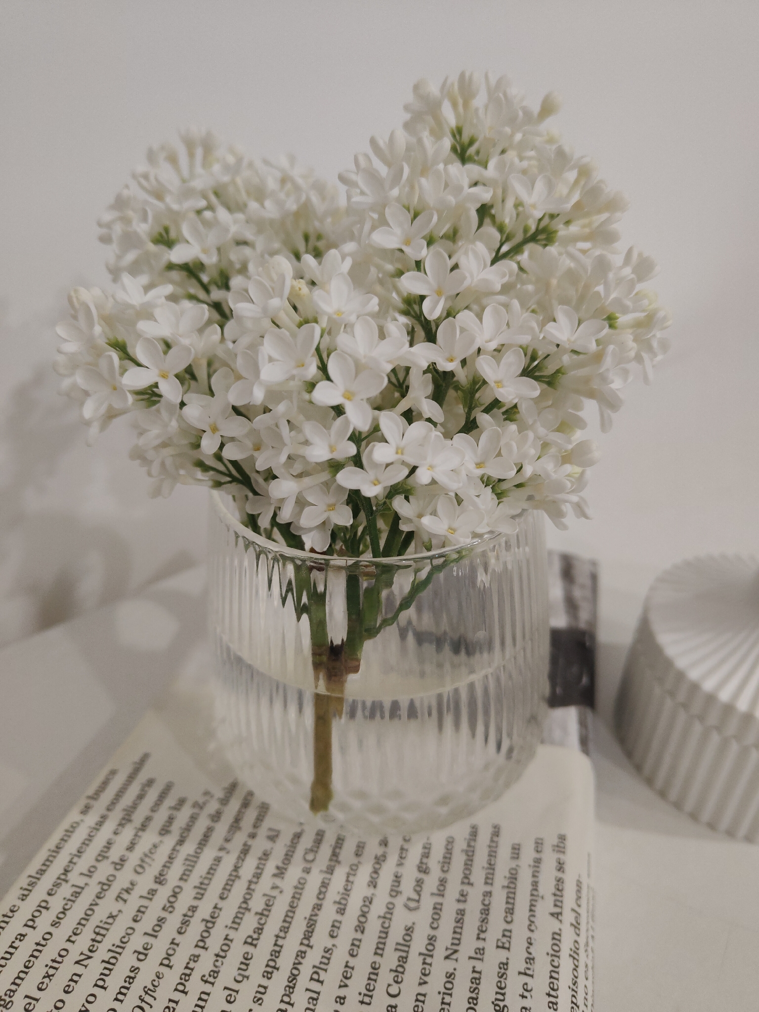 White lilac arrangements and dog walk documented in afternoon