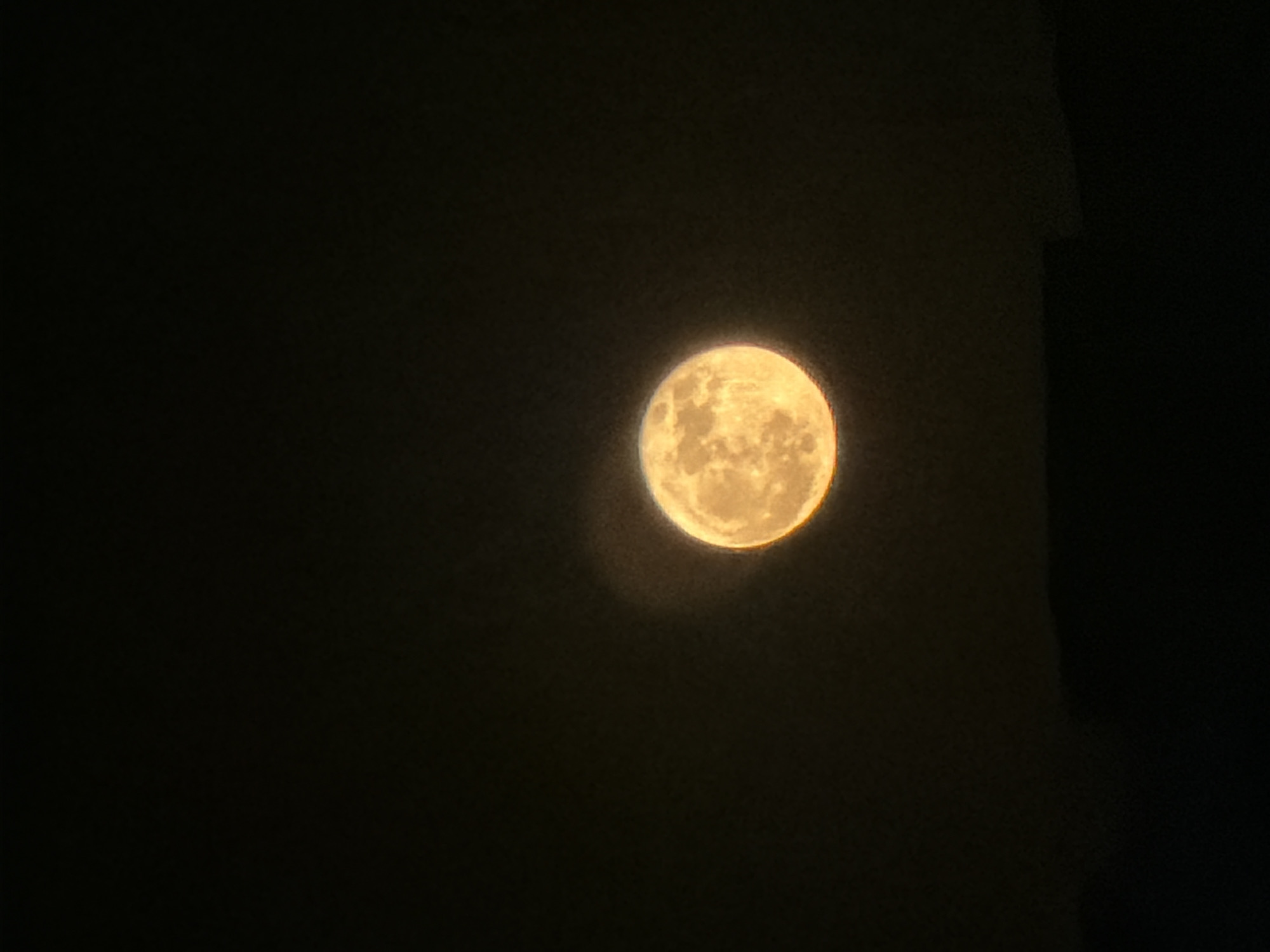 Full moon night over Sharm El Sheikh's lit streets and gardens