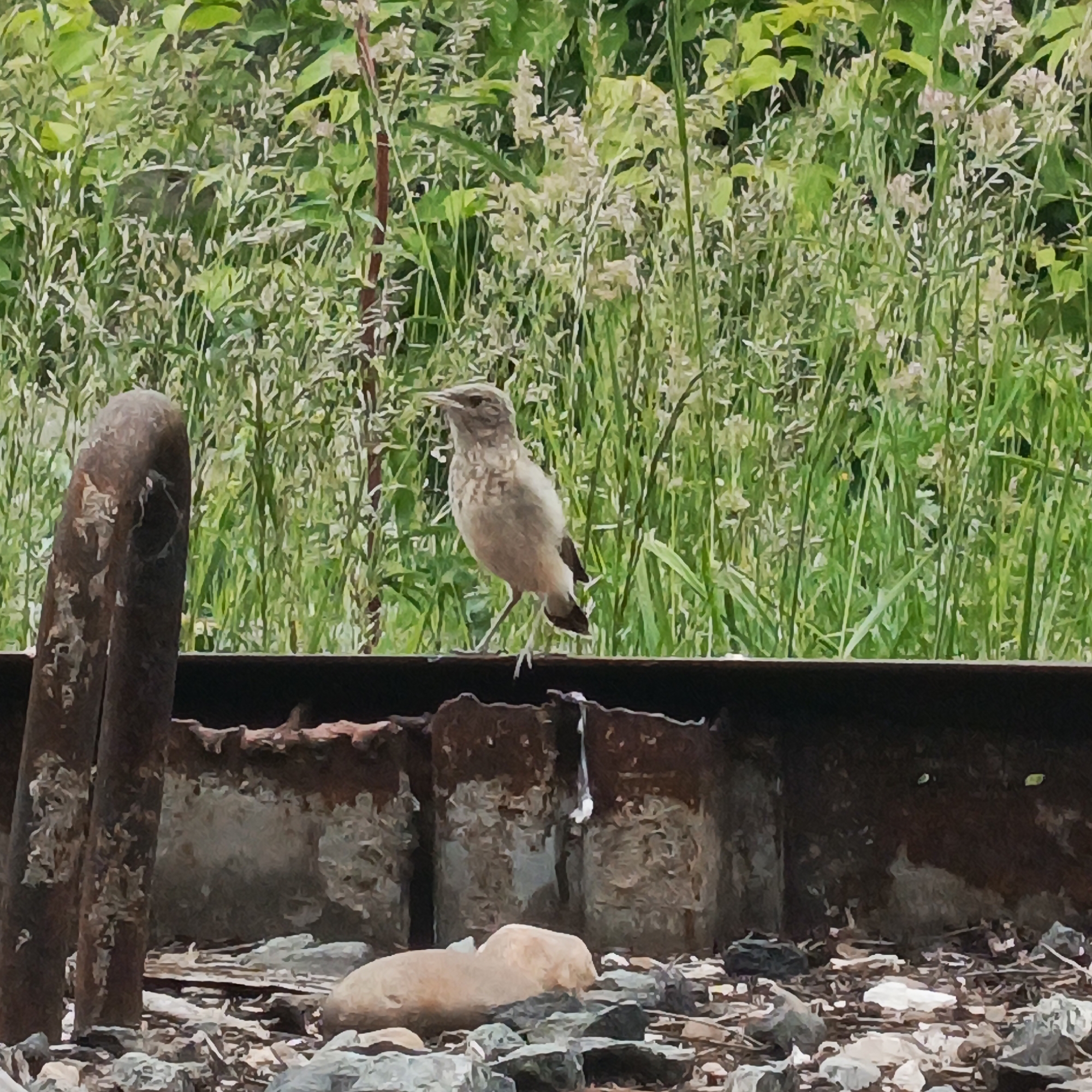 Morning documentation of daily life in Chaikovsky, Russia