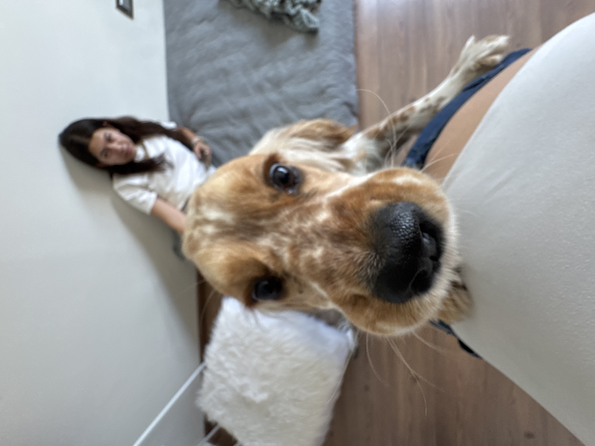 Woman and dog share intimate moment in Puebla home