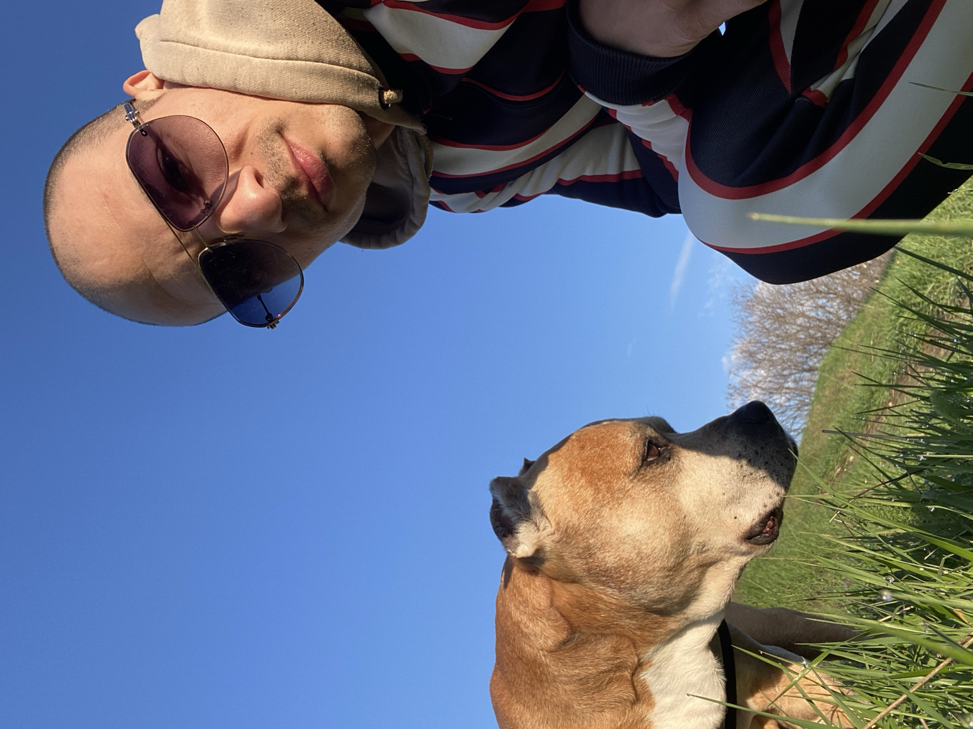 Dog walker enjoys early morning outing in Bulgarian countryside