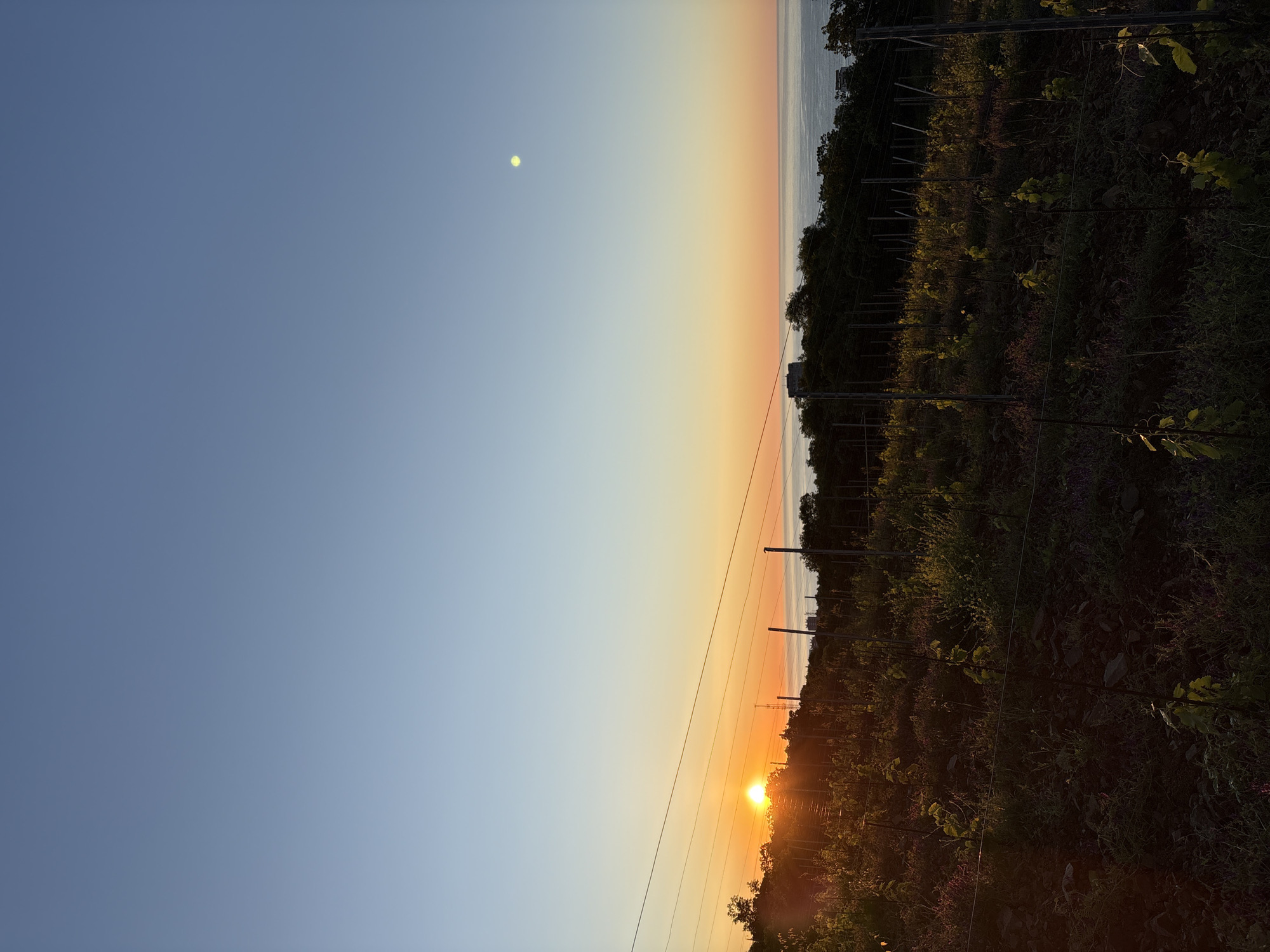 Sunset captured over Lavrovoe vineyards and farmland