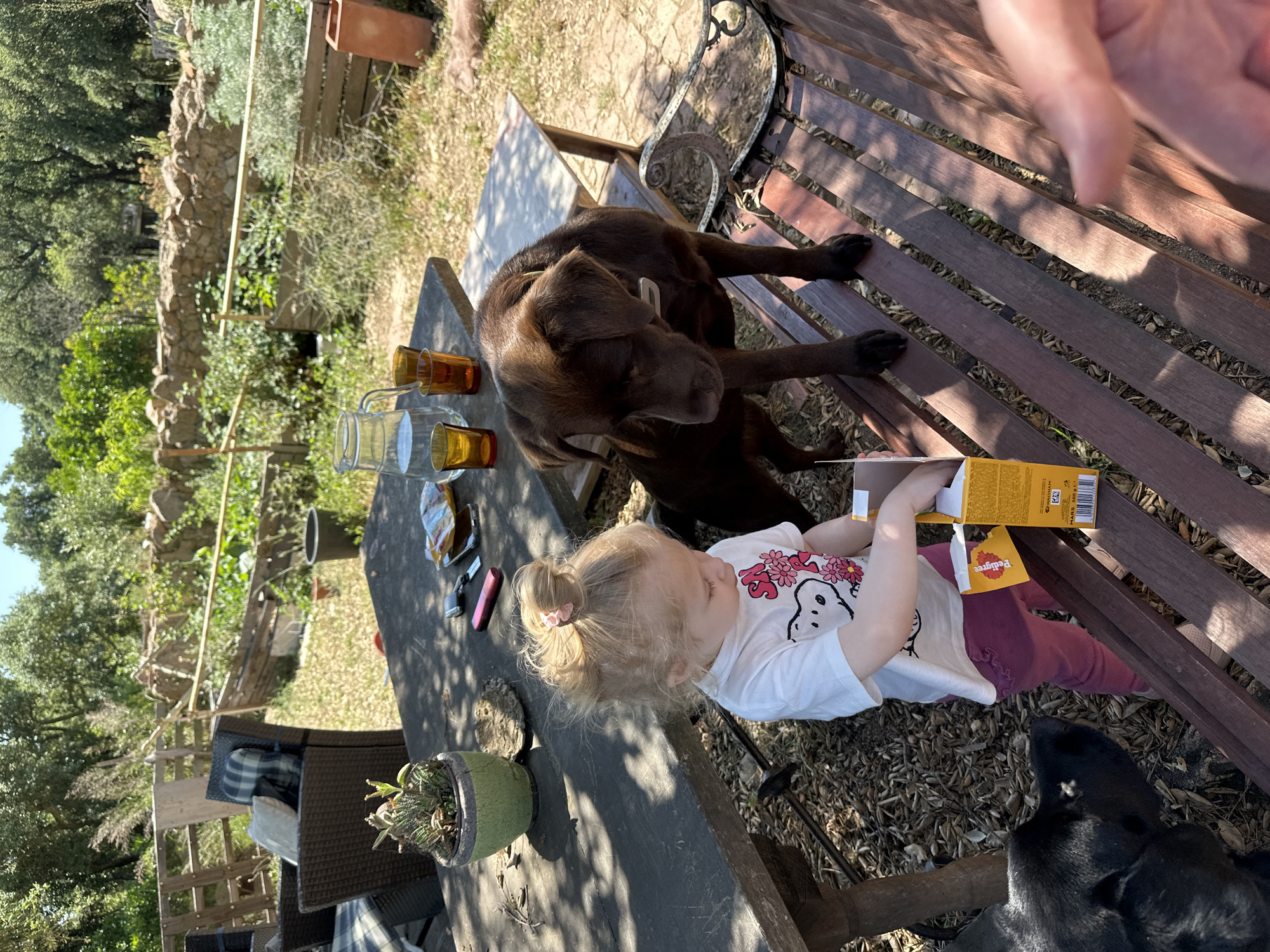 Child feeds dog treats at picnic table in Tossa de Mar