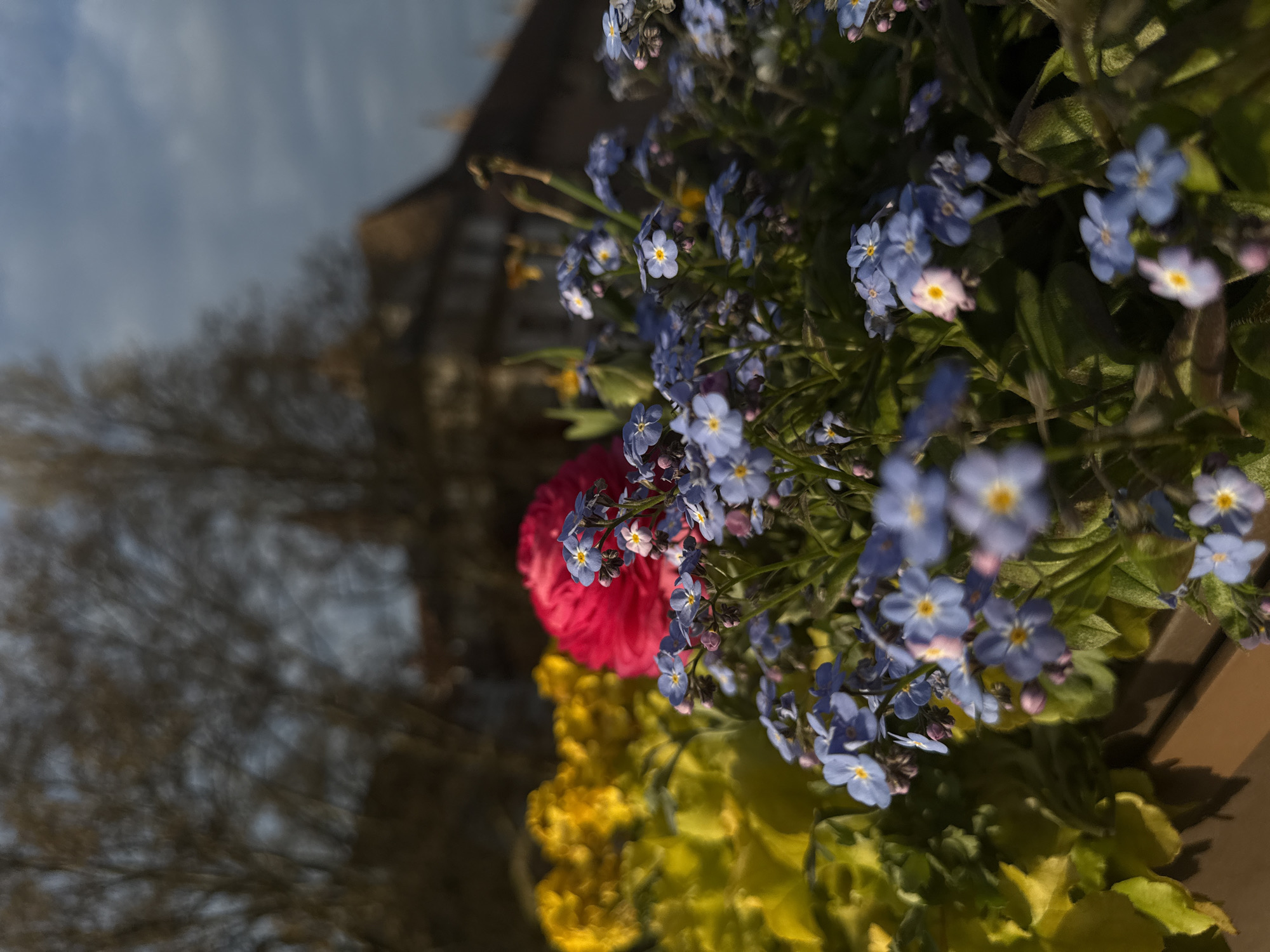 Spring afternoon scenes captured across Strasbourg streets and waterways