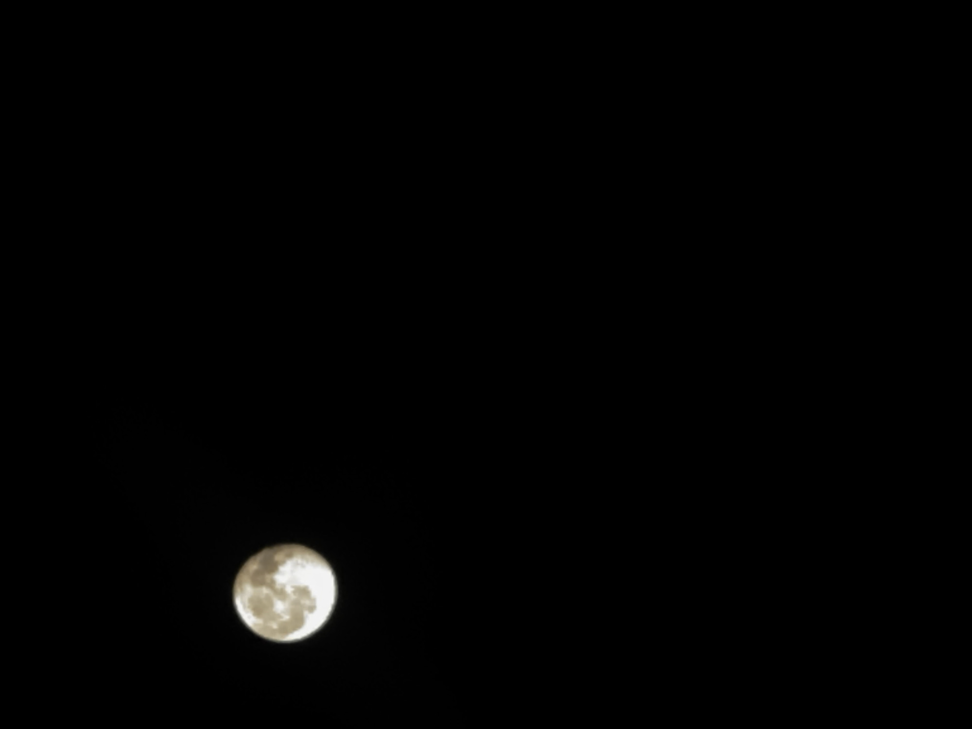 Full moon night, a black cat, snacks, and chill home moments.