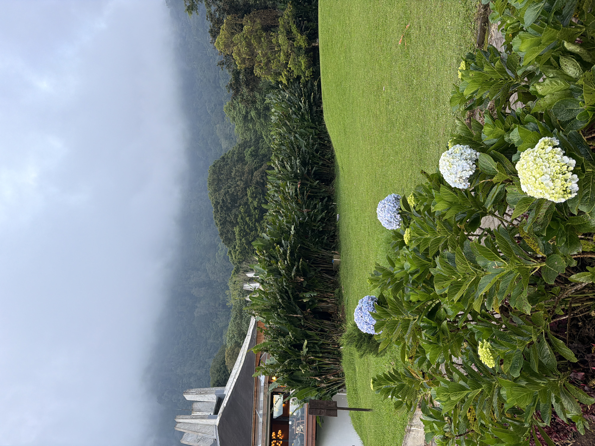 Garden landscapes documented in misty Sukasada, Indonesia morning
