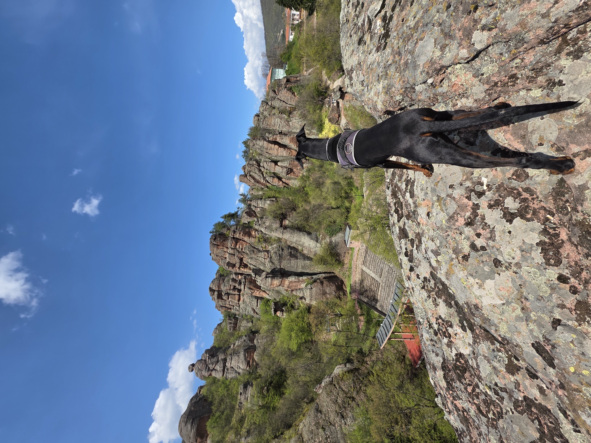 Doberman observed at Bulgaria's Belogradchik Rock formations