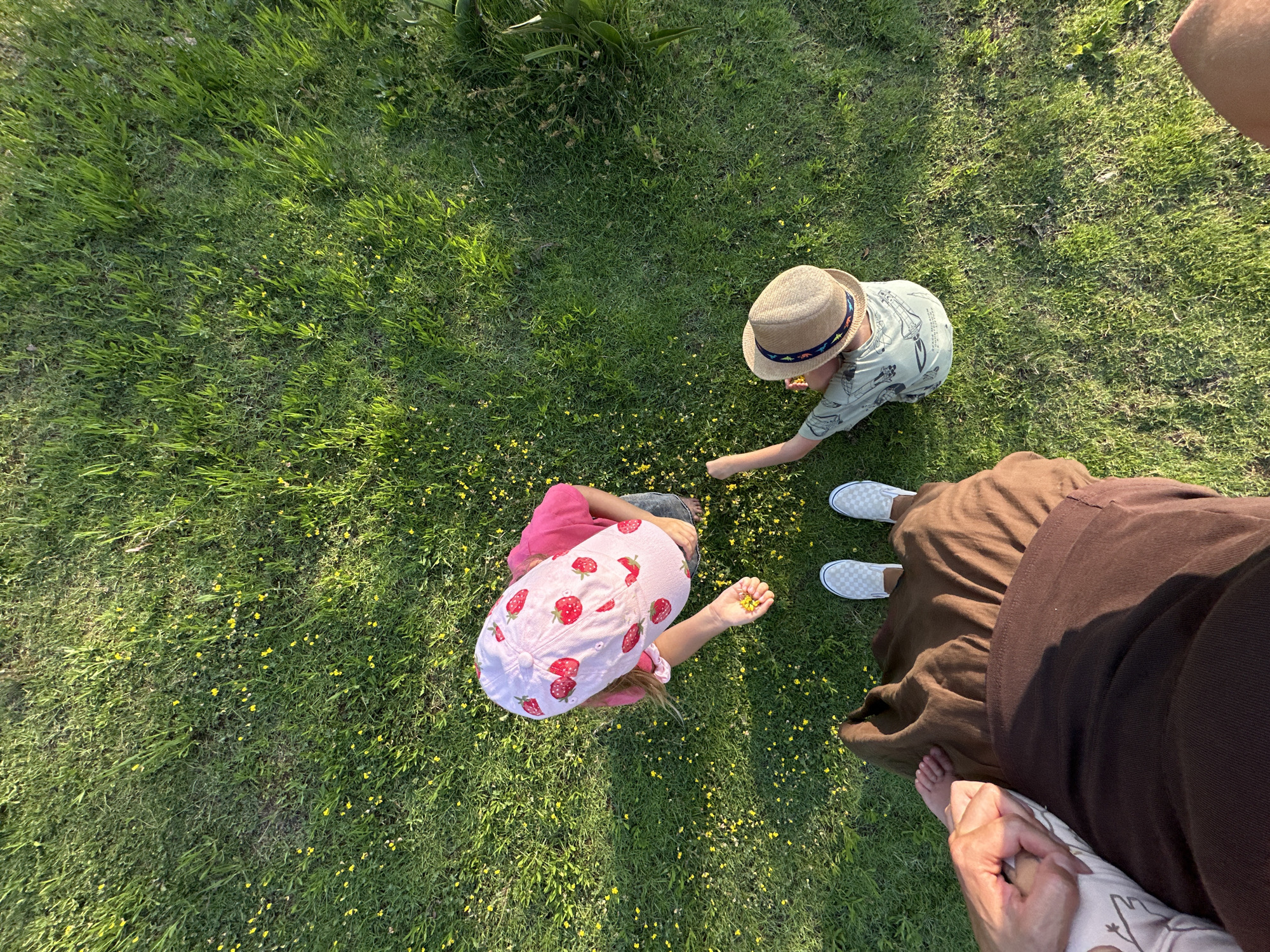 Family enjoys park visit with ducks in Fethiye