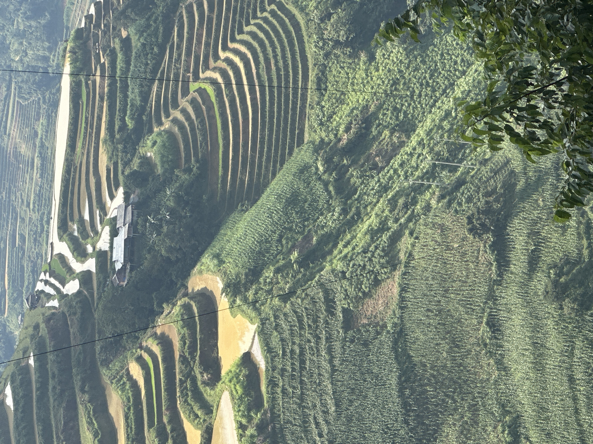 Terraced rice fields documented in northern Vietnam commune