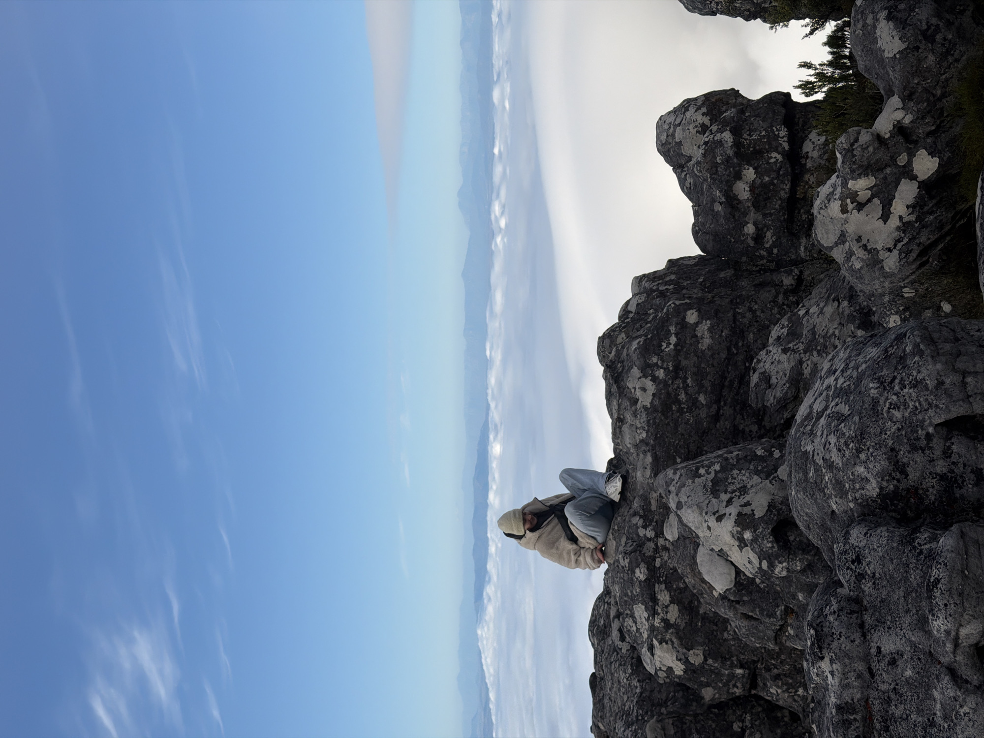 Tourists visit foggy Table Mountain amid wildlife sightings