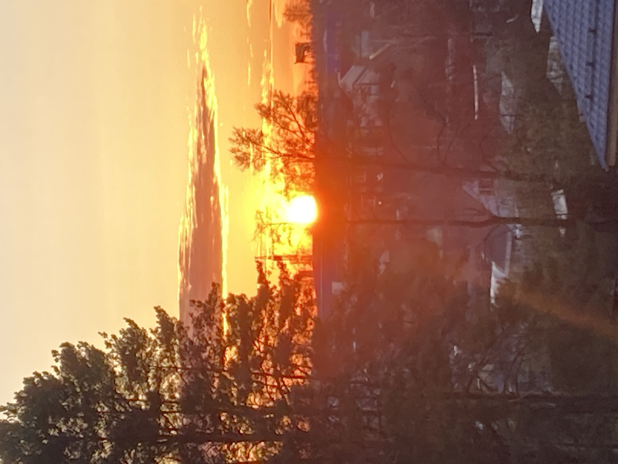 Peaceful evening captured in Chaikovsky: sunset and sleeping pets
