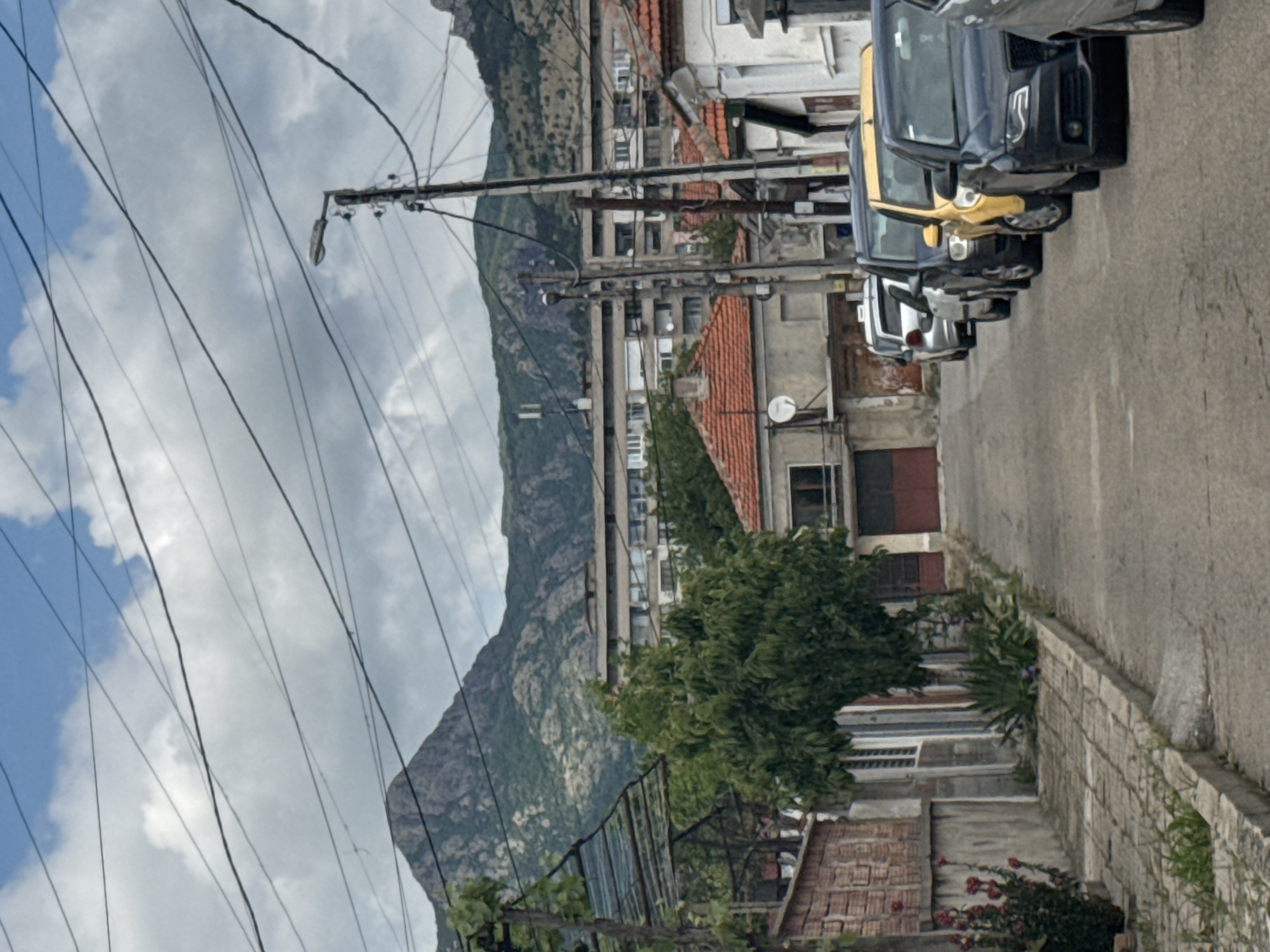 Morning snapshots capture woman, roses, and mountain town streets