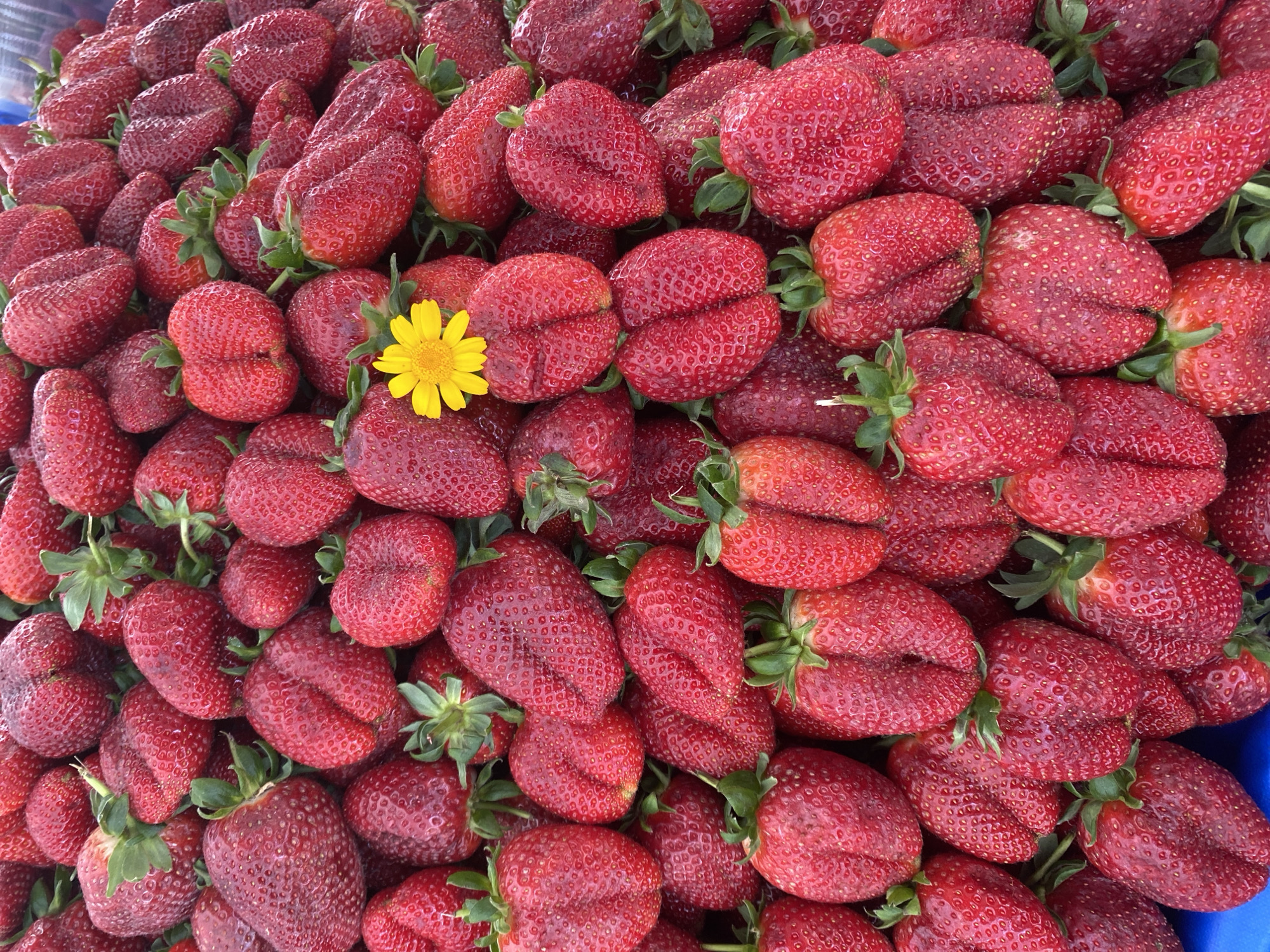 Street market operates in Alanya, Turkey selling produce and goods